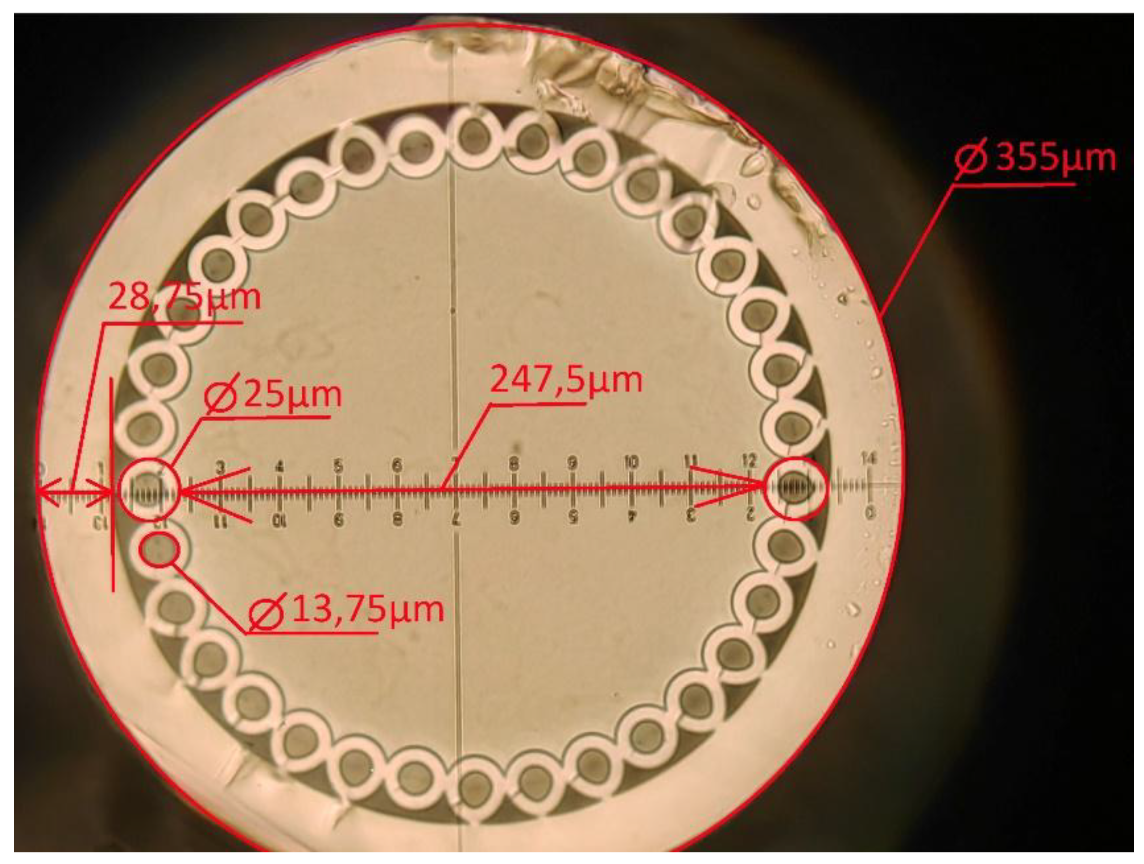 Preprints 151238 g001