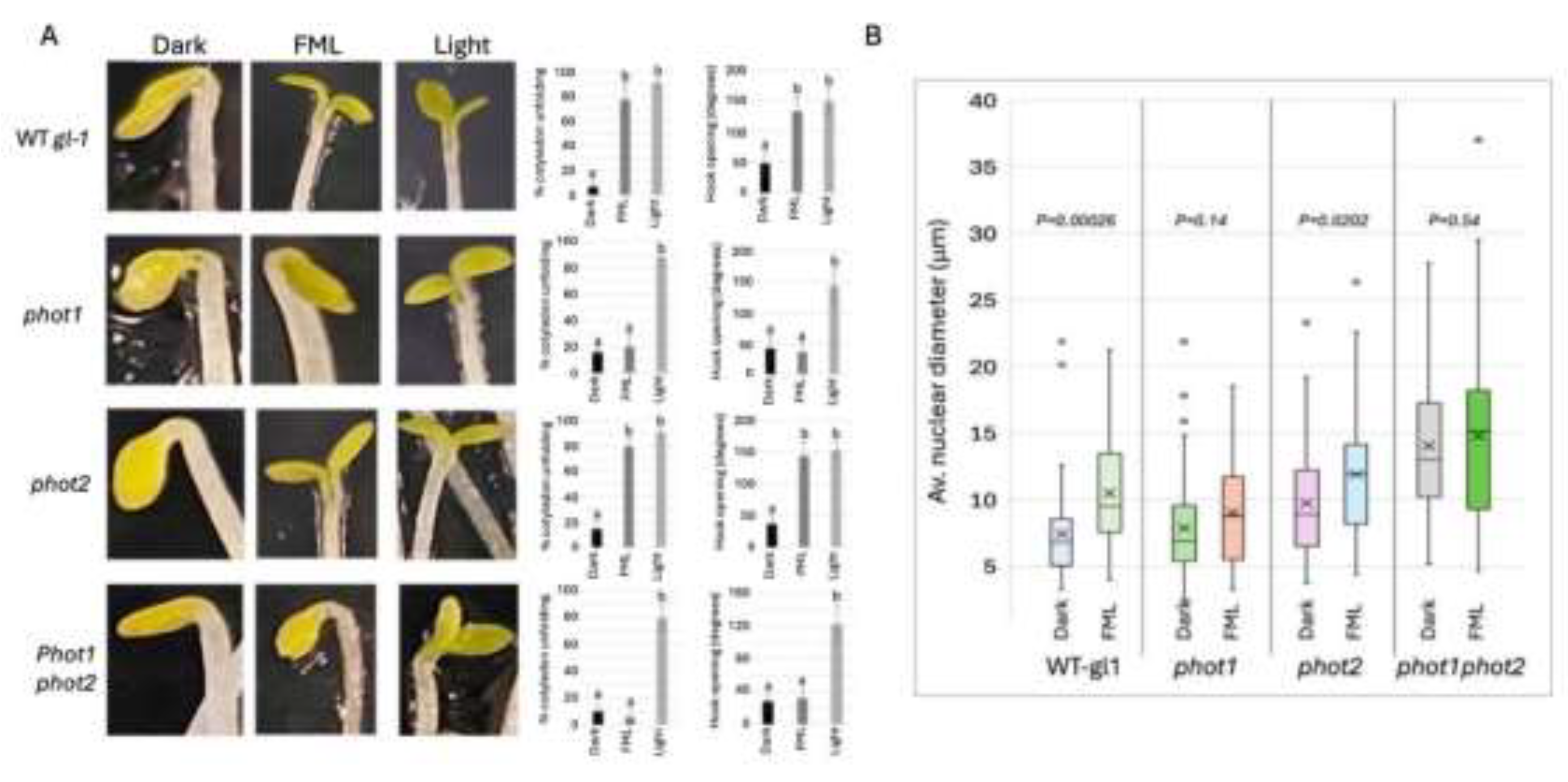 Preprints 200294 g001