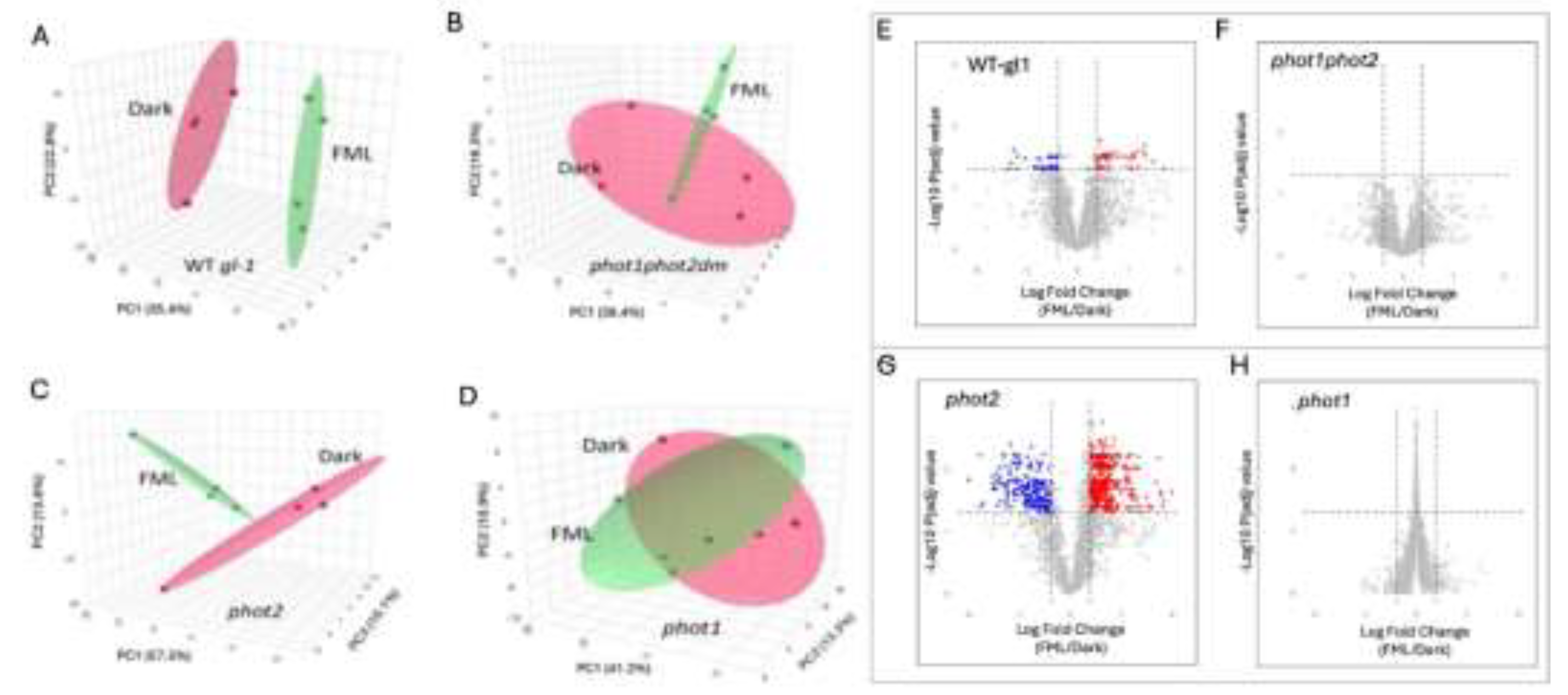 Preprints 200294 g002