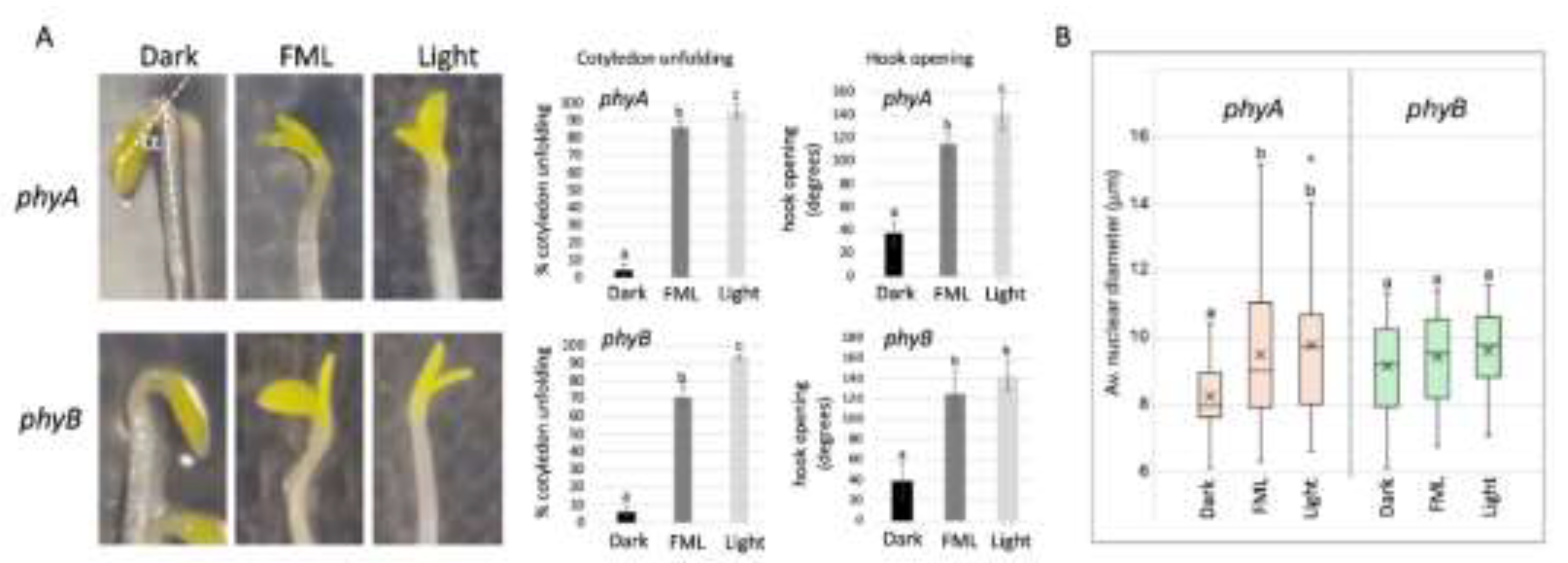 Preprints 200294 g004