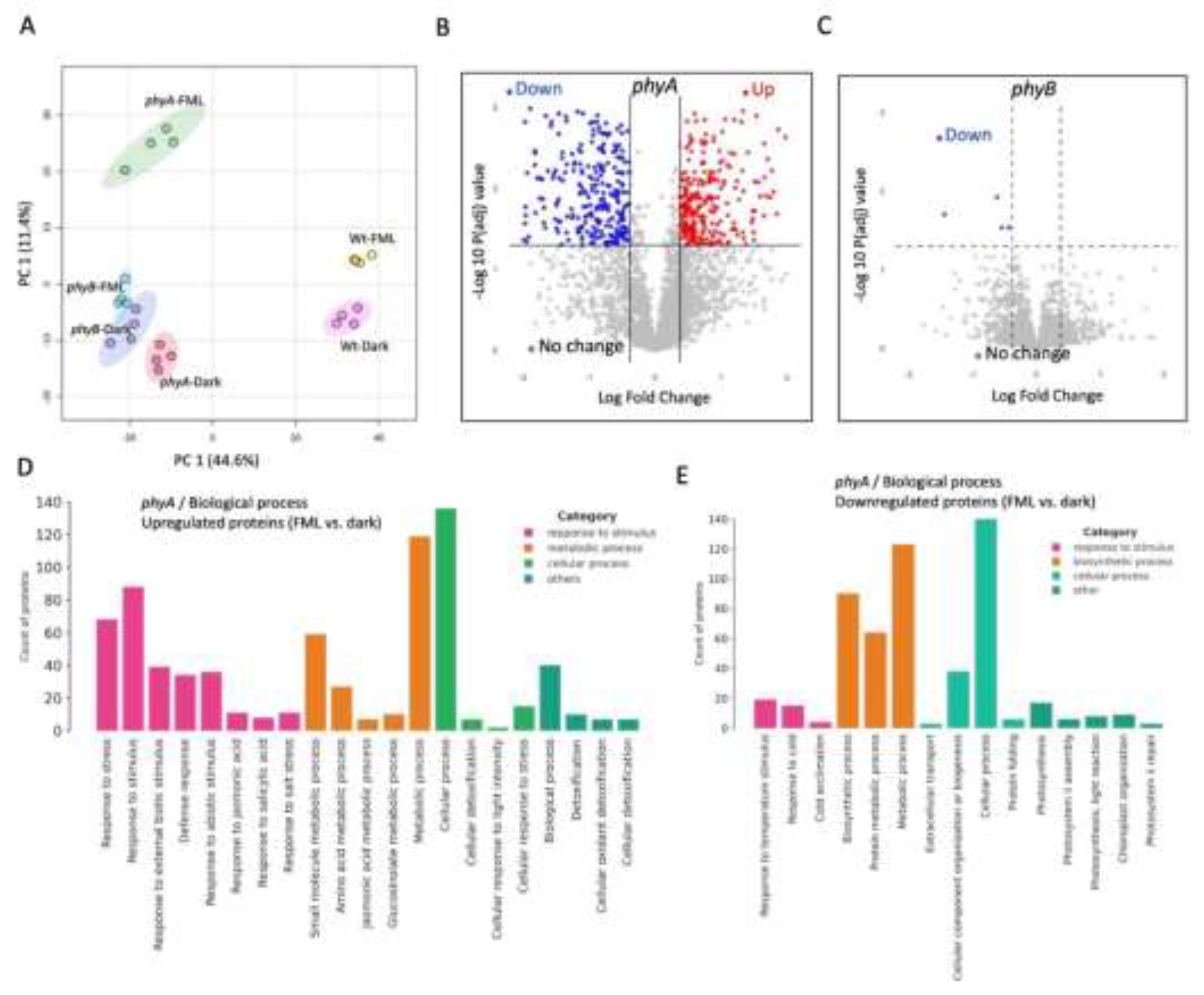 Preprints 200294 g005