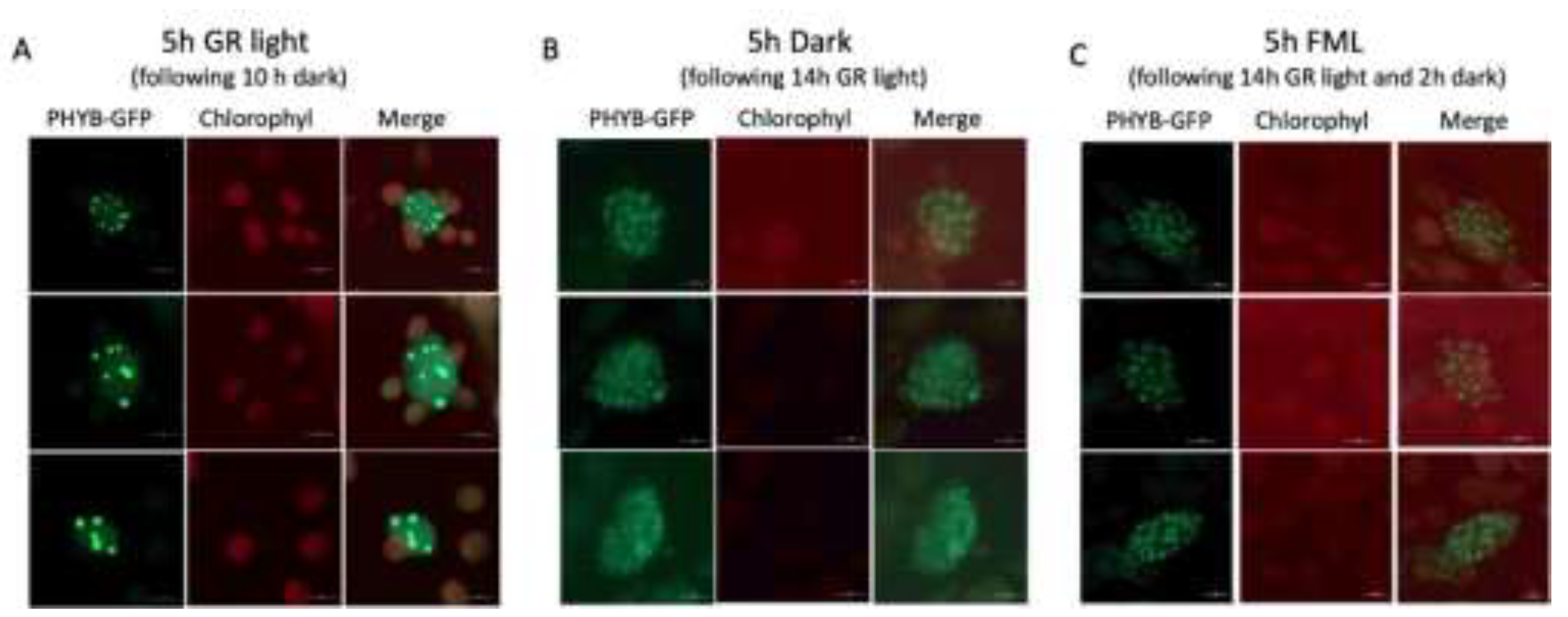 Preprints 200294 g006