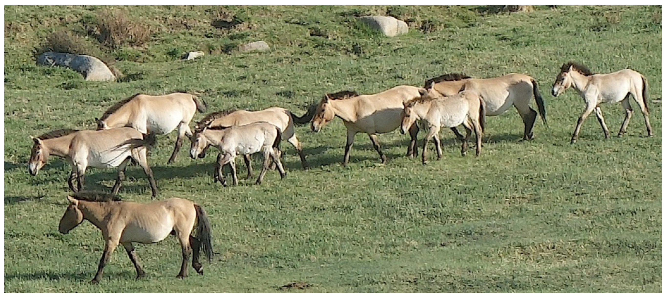 Preprints 185007 g002