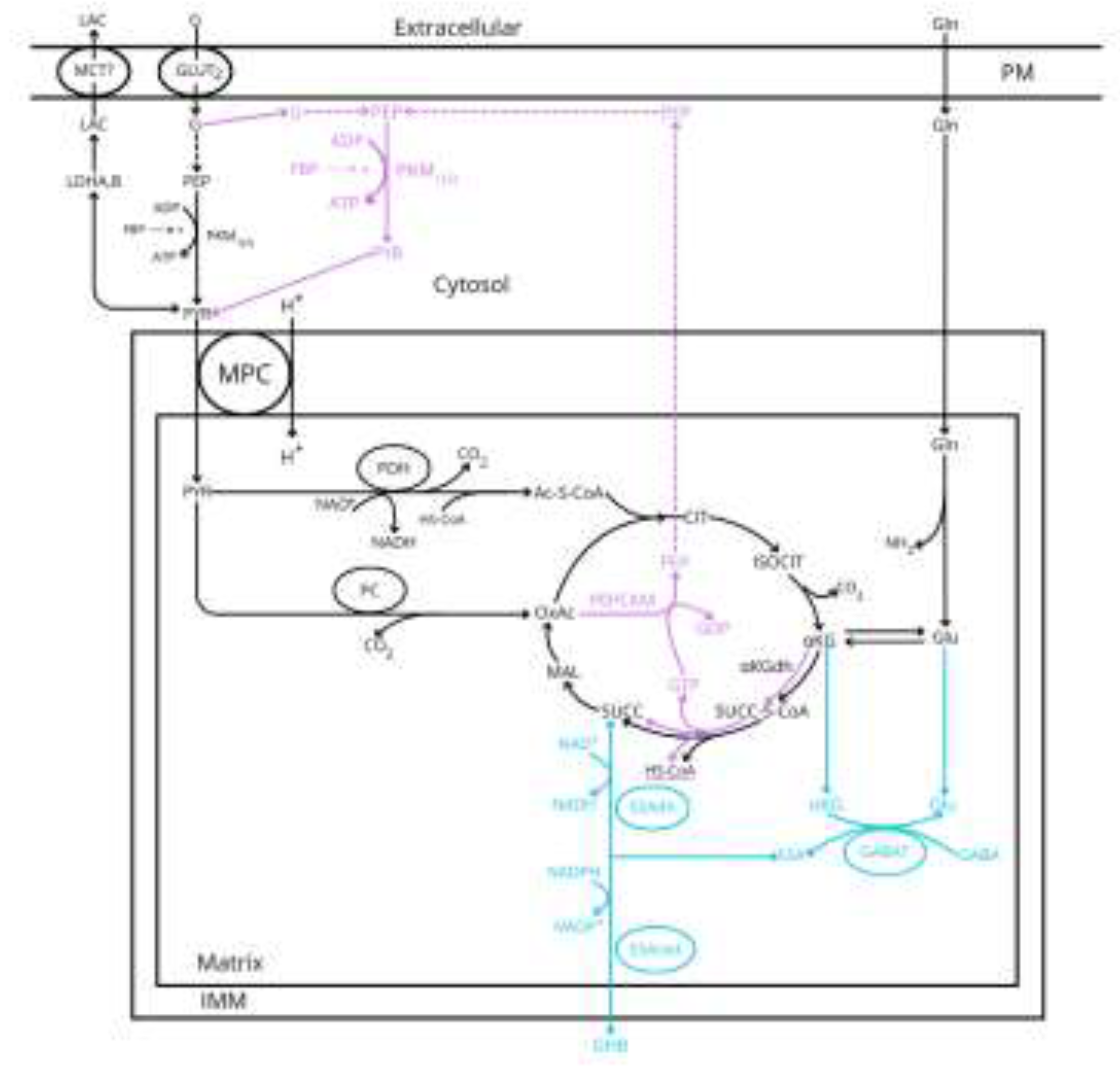 Preprints 150675 g001