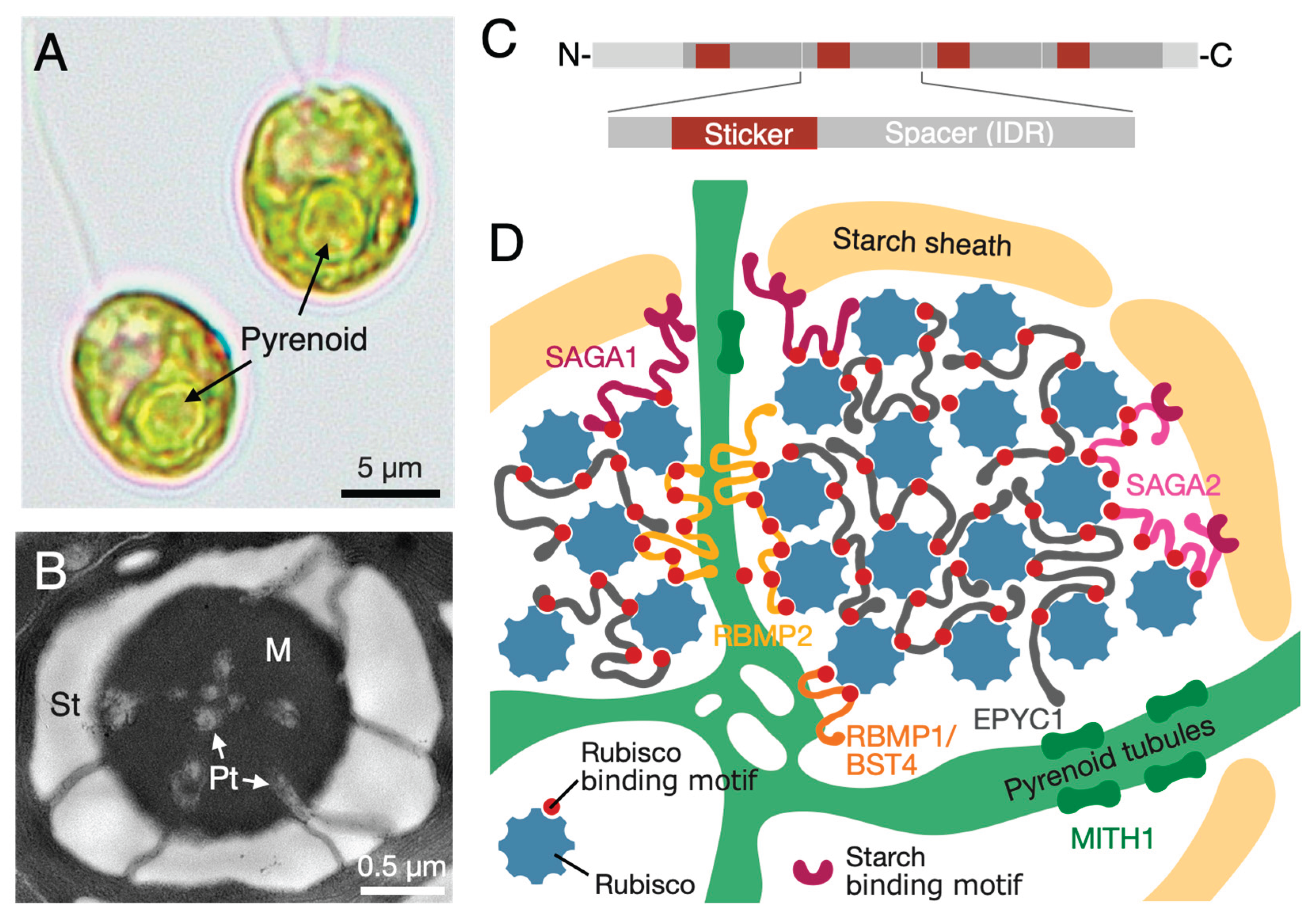Preprints 172650 g001