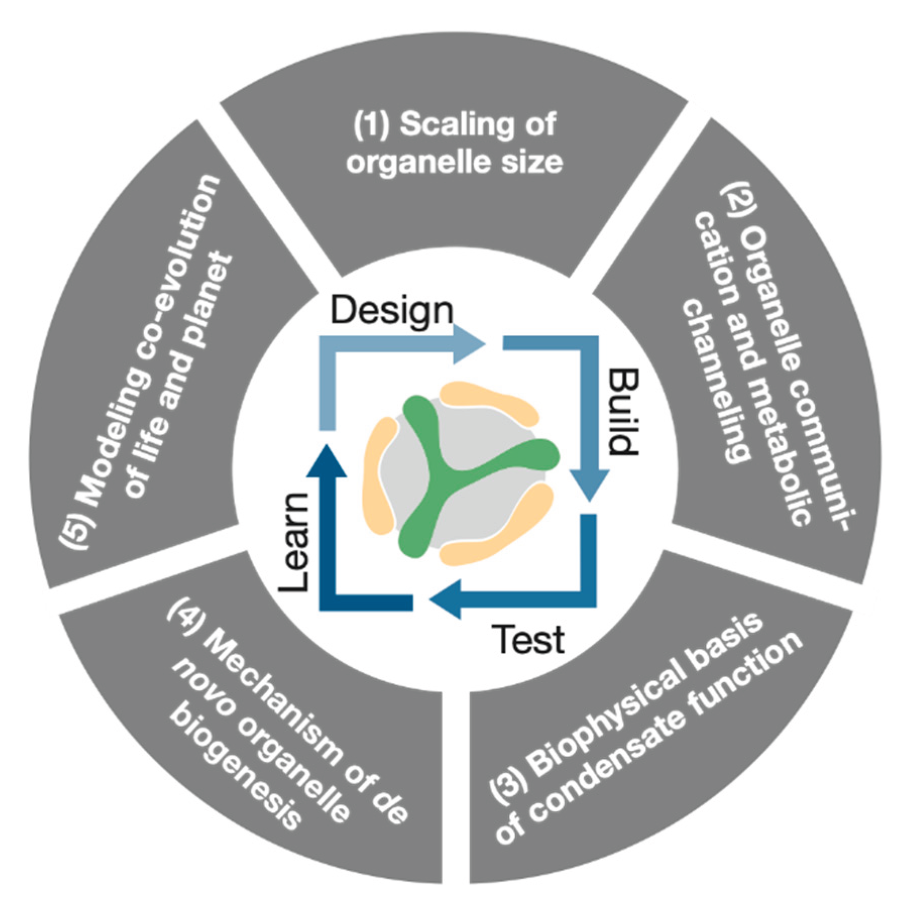 Preprints 172650 g004