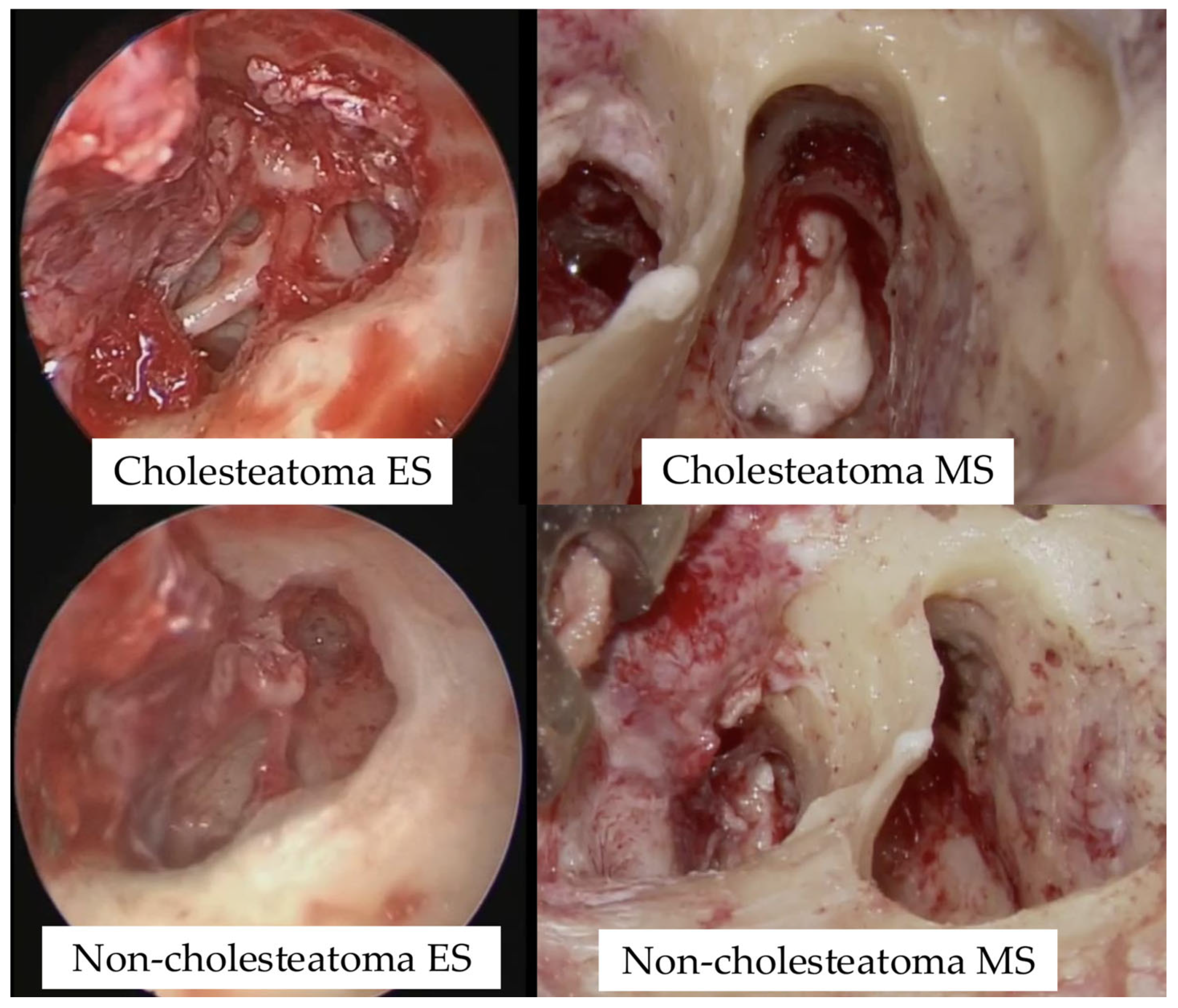 Preprints 176139 g001