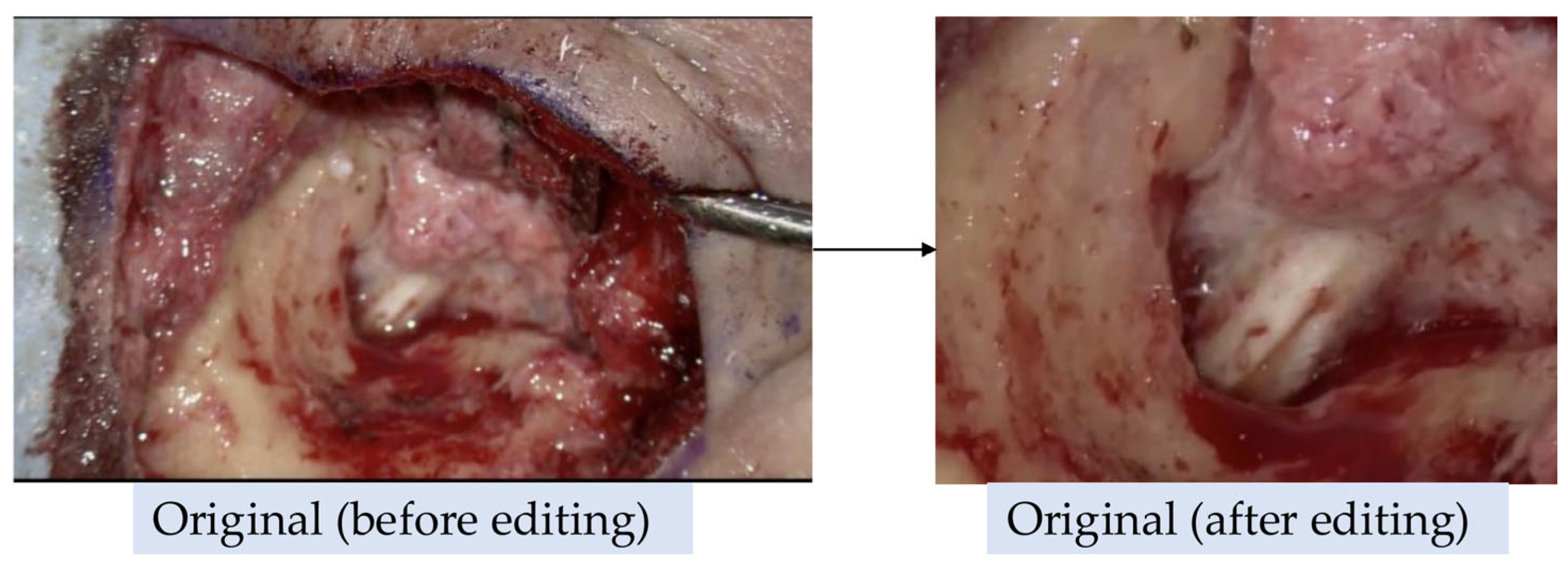 Preprints 176139 g002