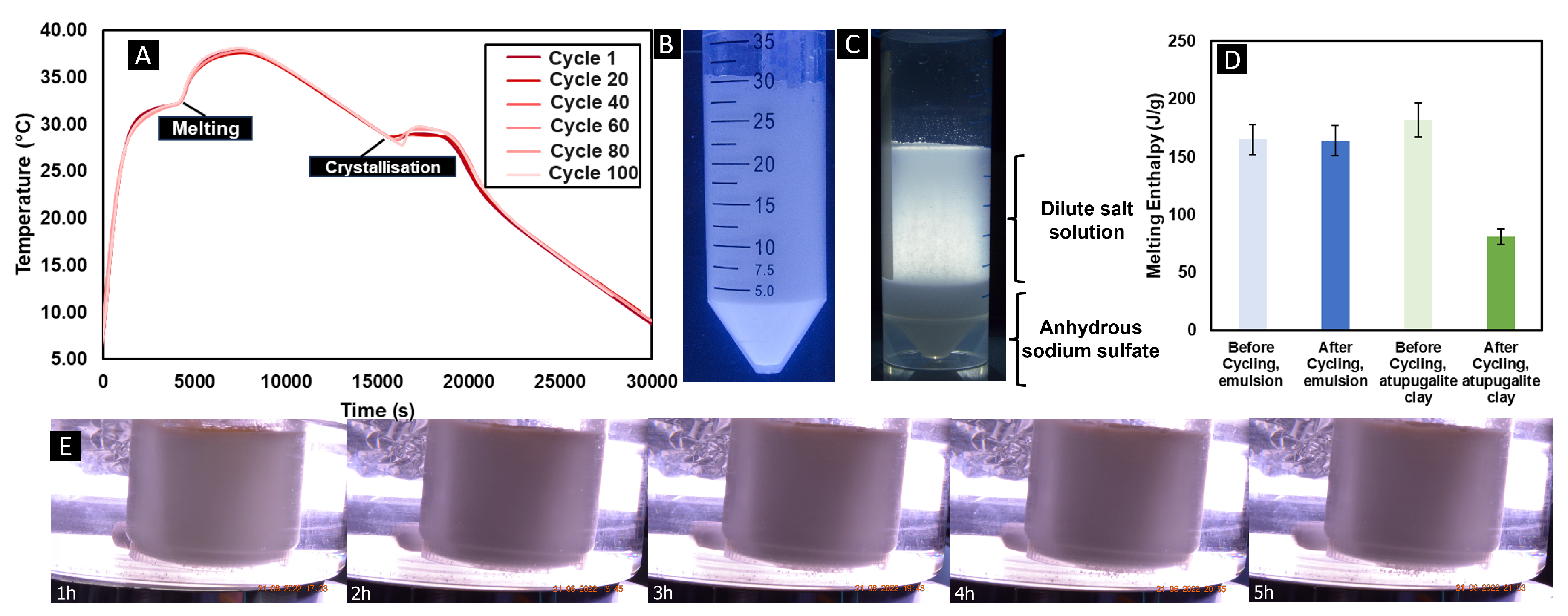 Preprints 150525 g002