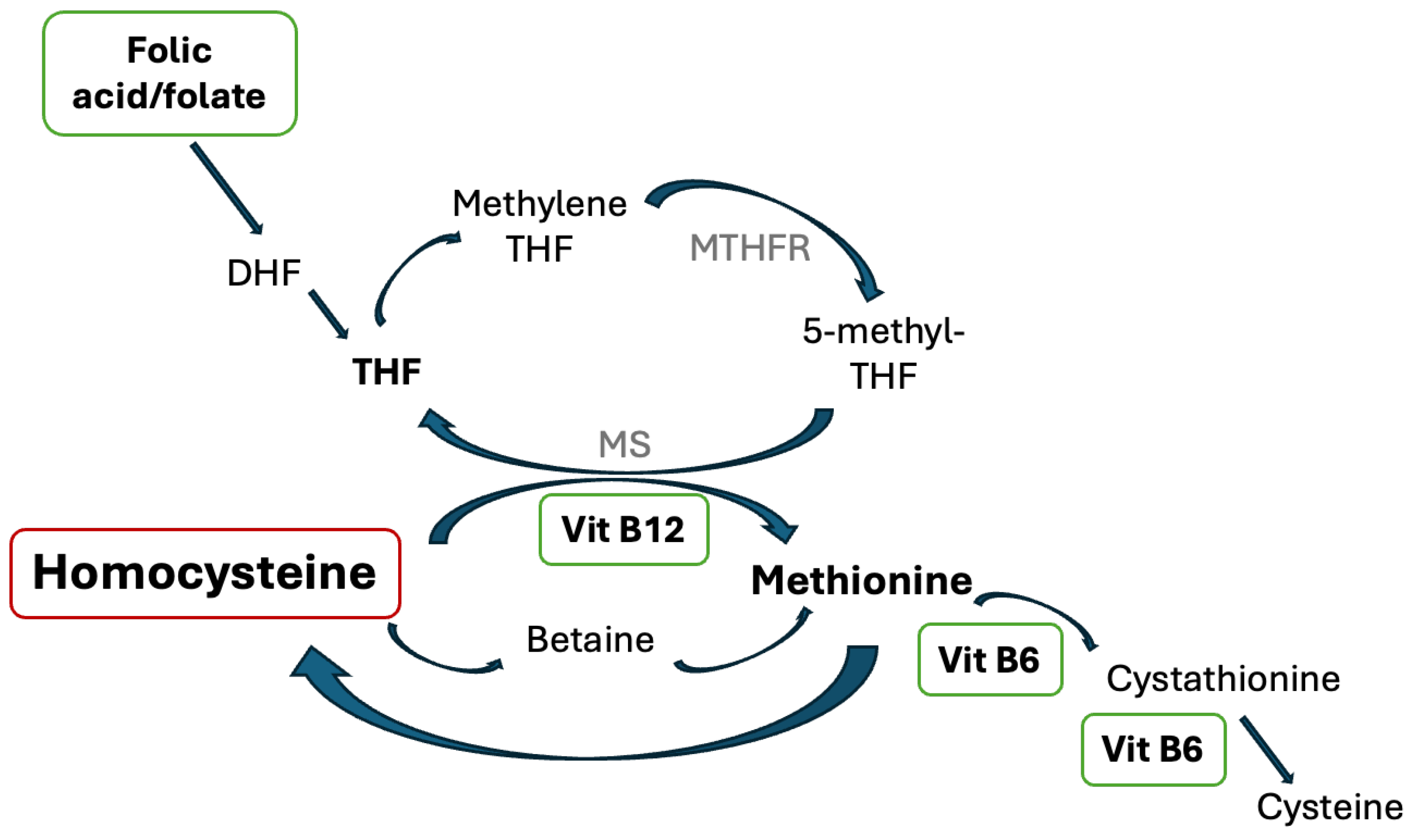 Preprints 148200 g001