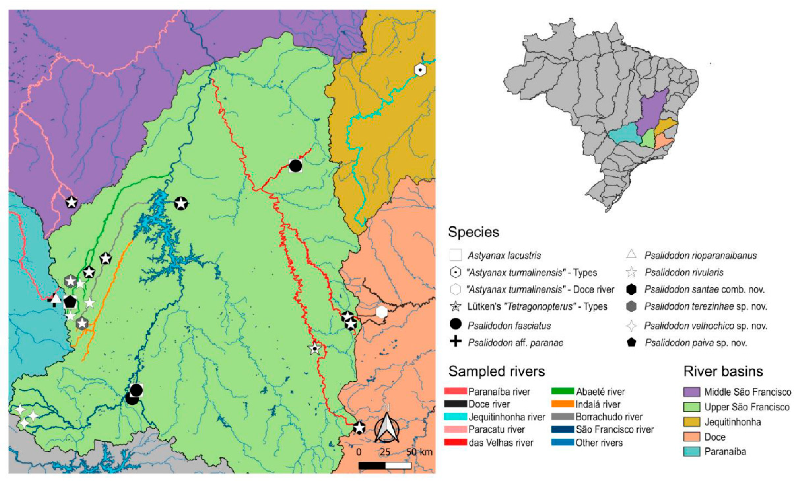 Preprints 183057 g001