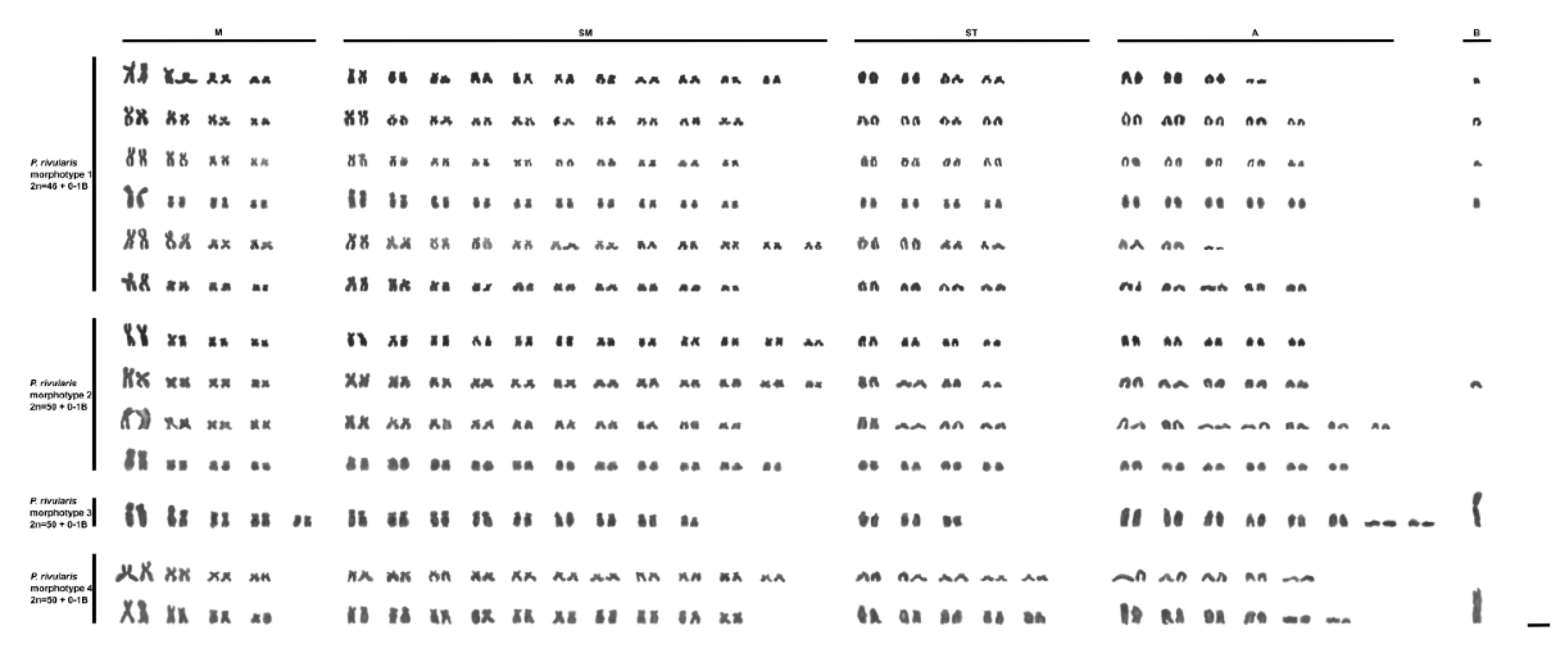 Preprints 183057 g003