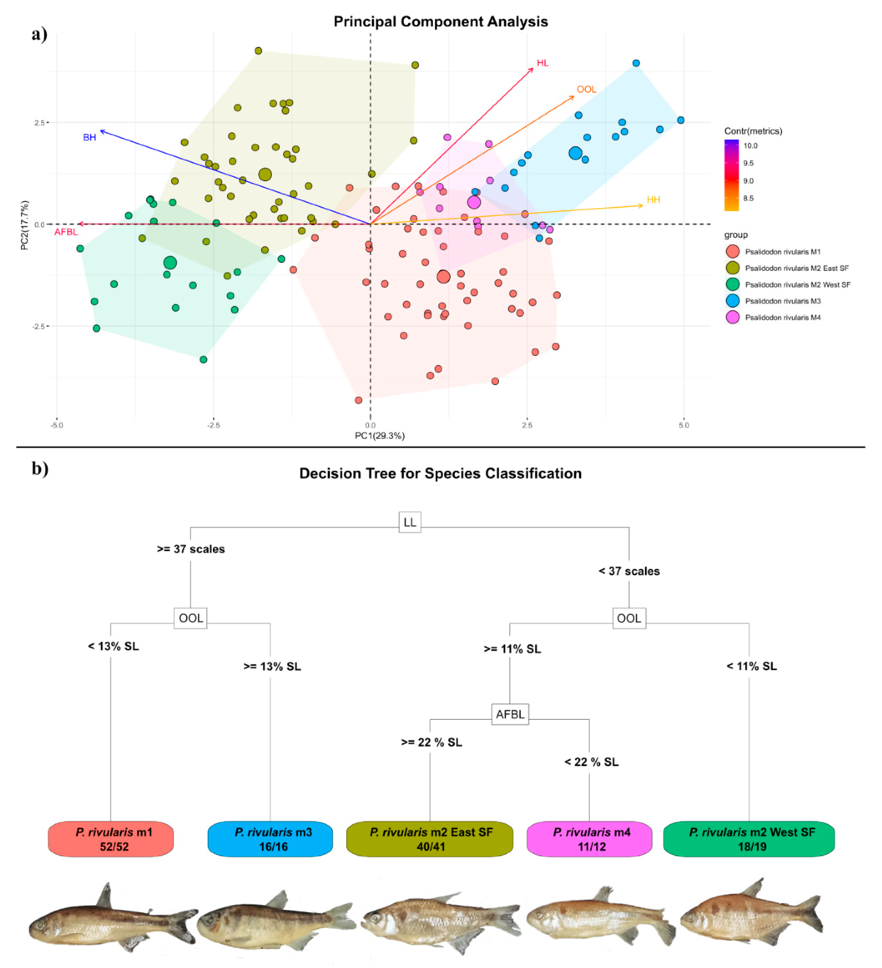 Preprints 183057 g005
