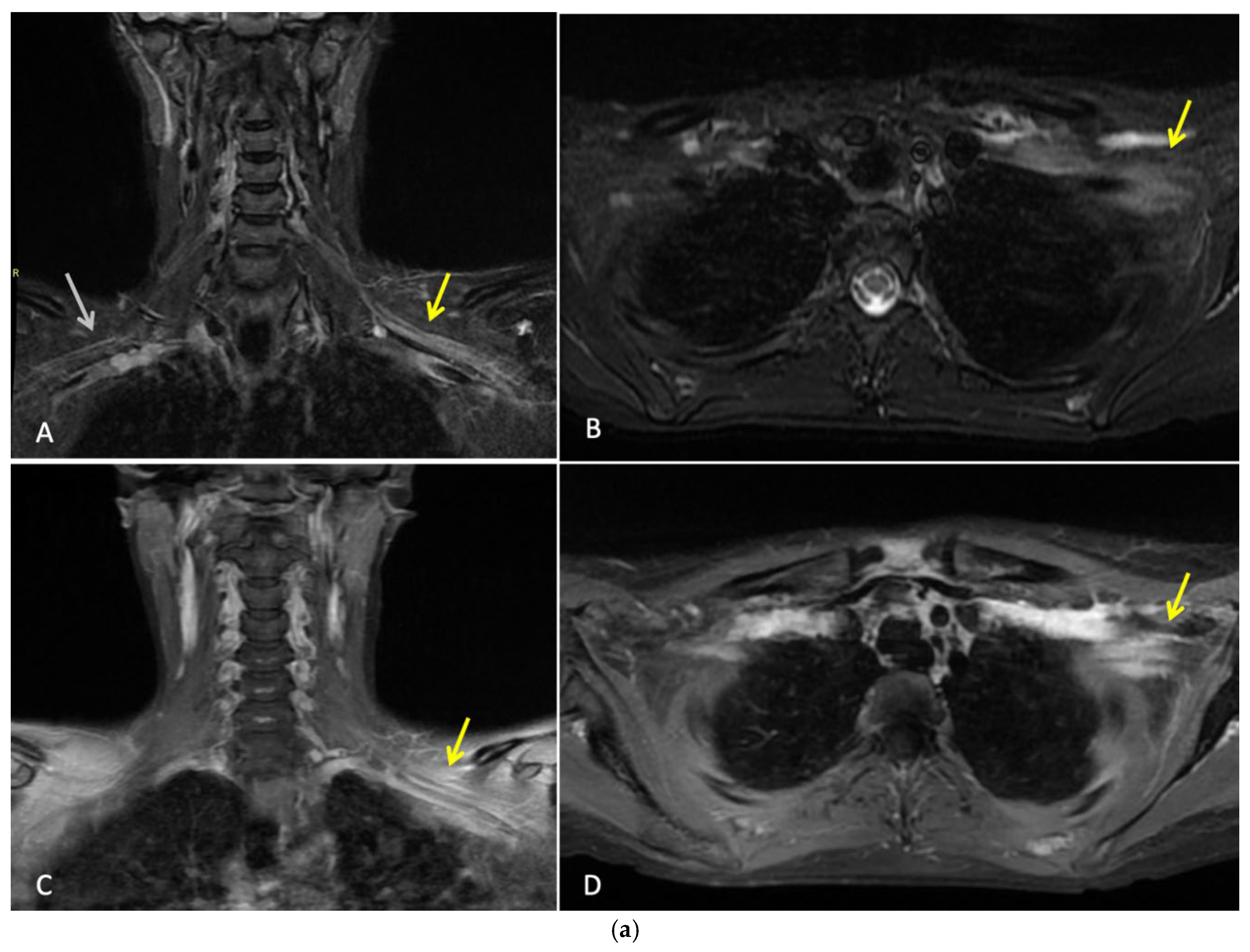 Preprints 193237 g002a