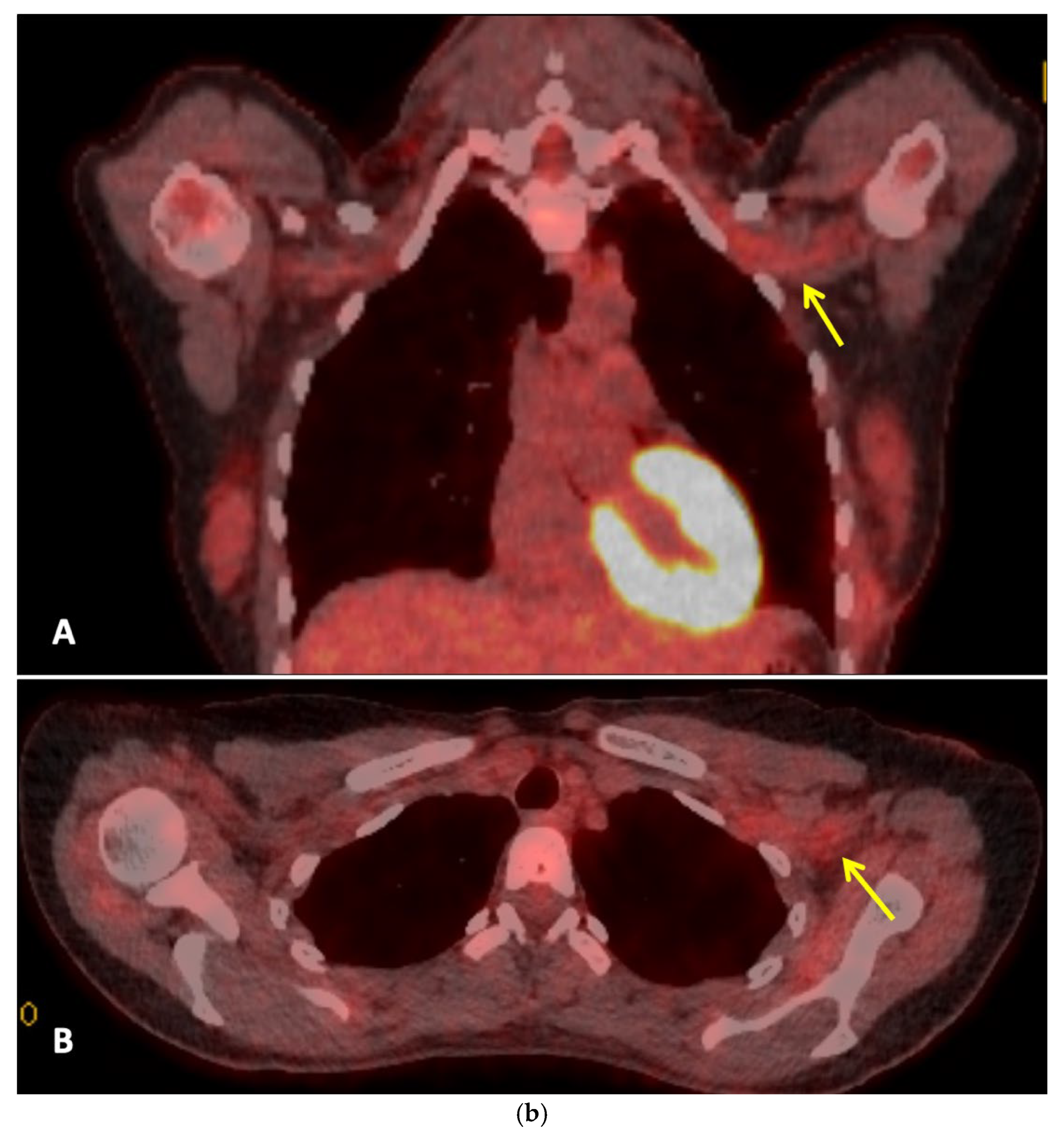 Preprints 193237 g002b