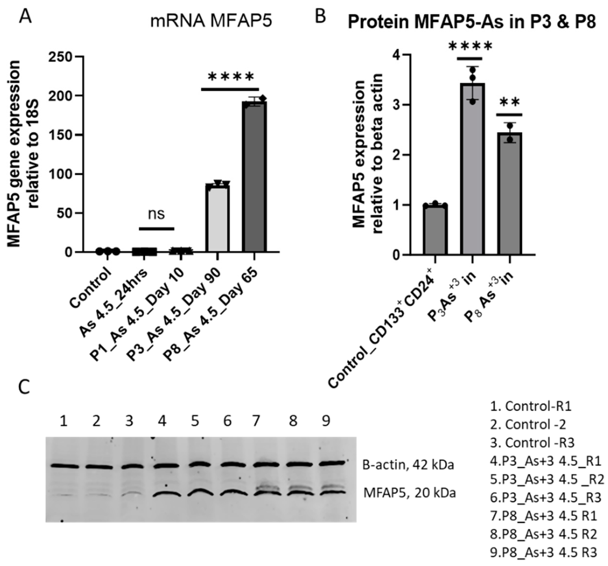 Preprints 154353 g002