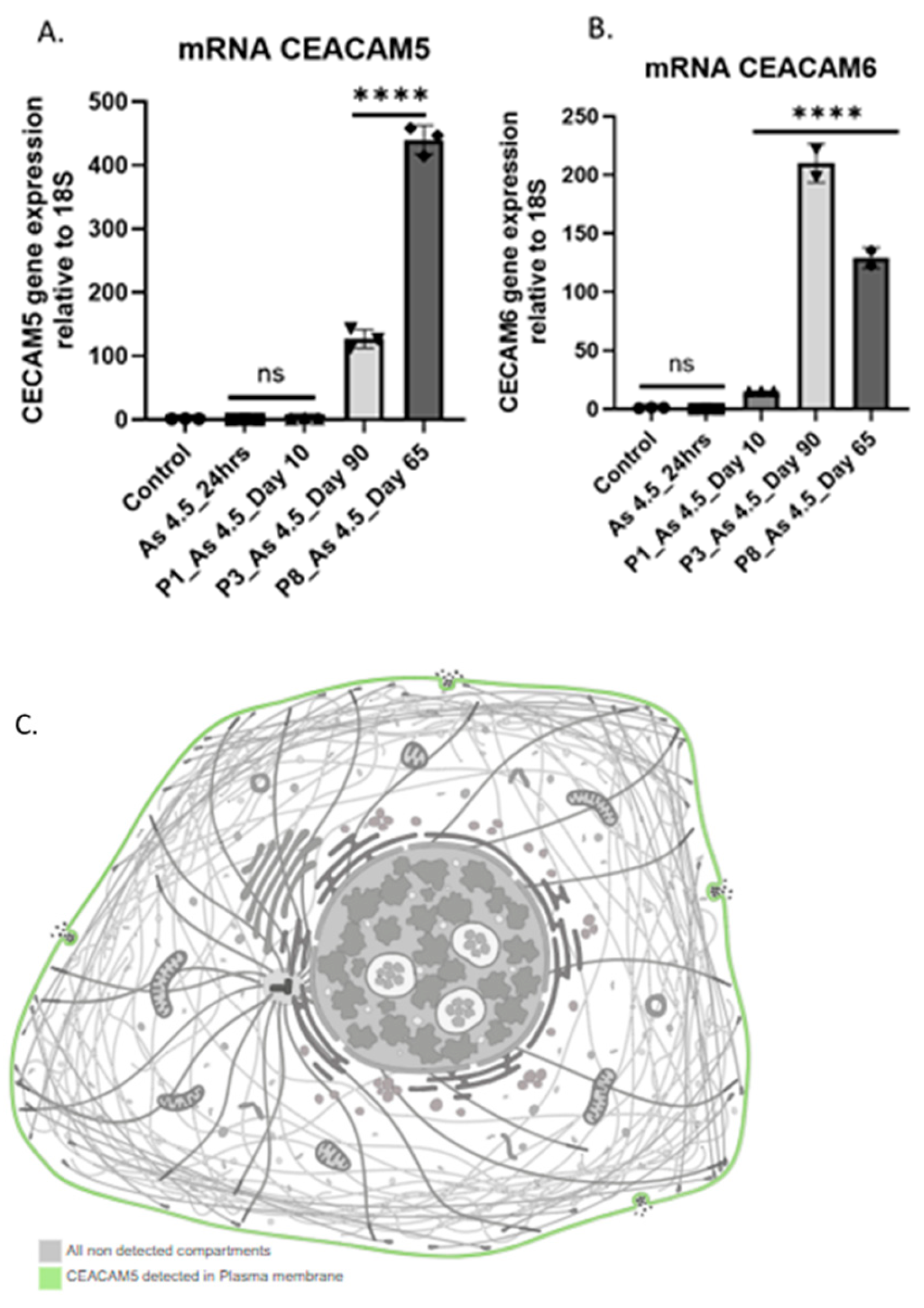 Preprints 154353 g003