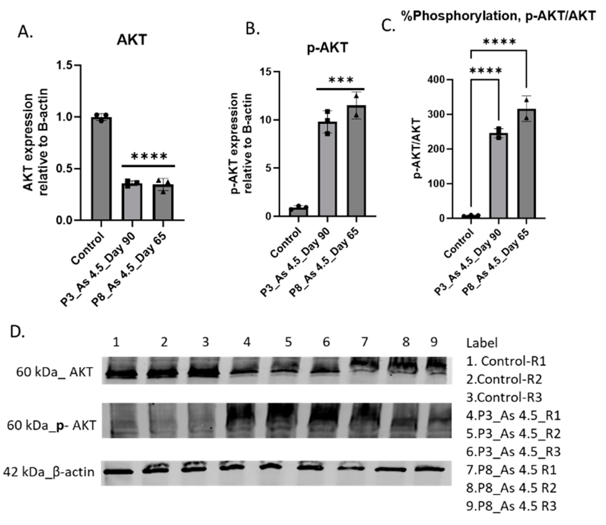 Preprints 154353 g005