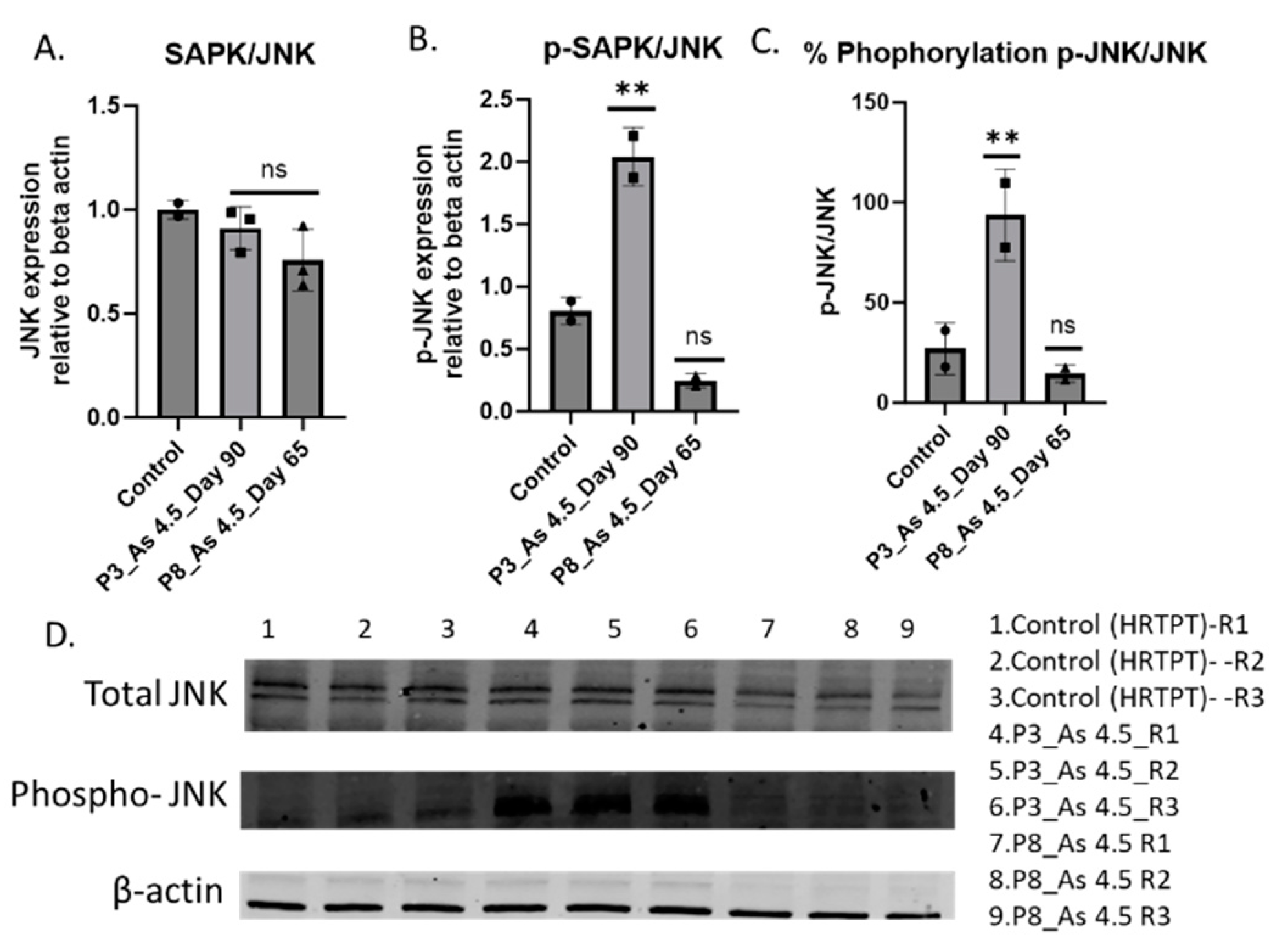 Preprints 154353 g006