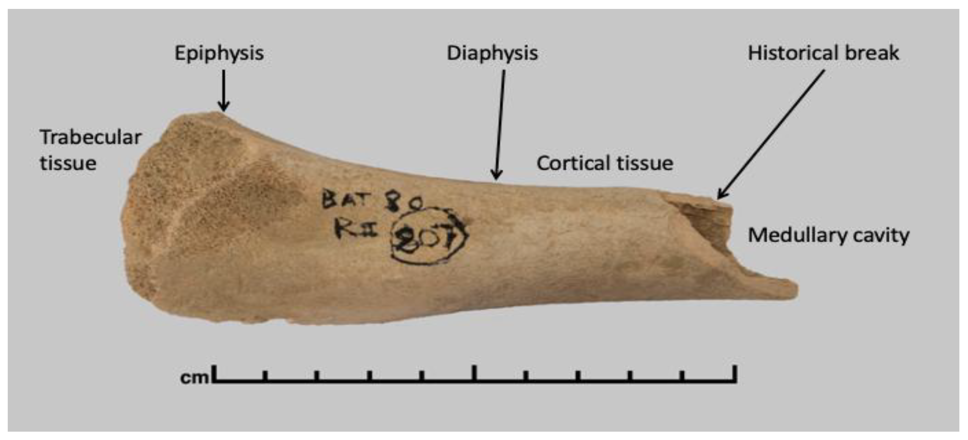 Preprints 171394 g001