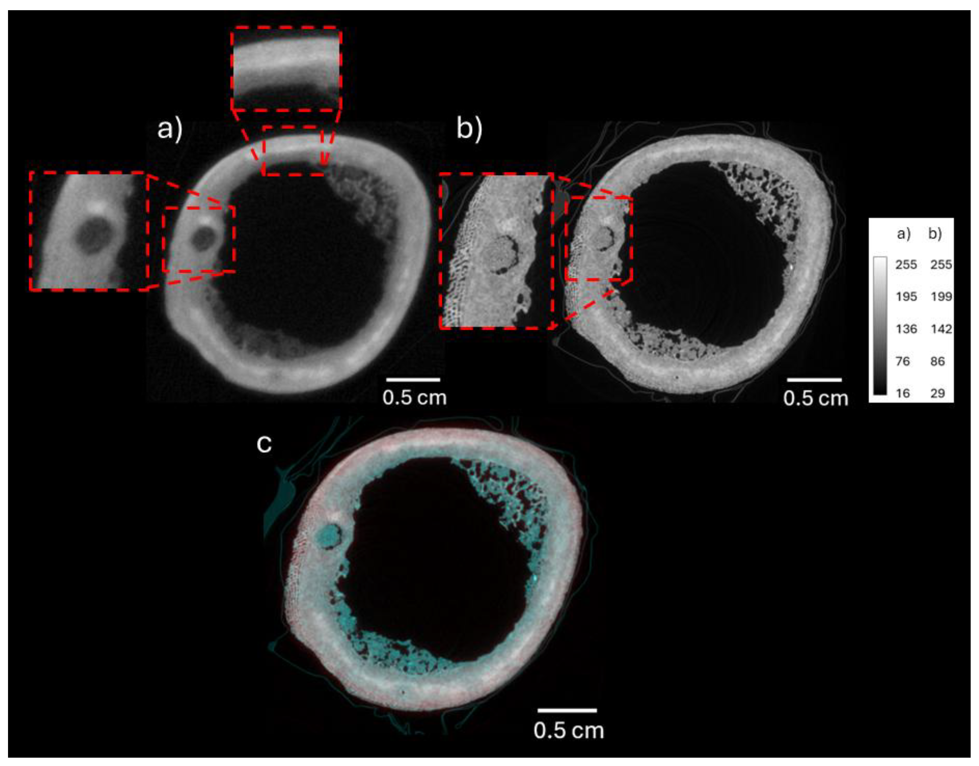 Preprints 171394 g004