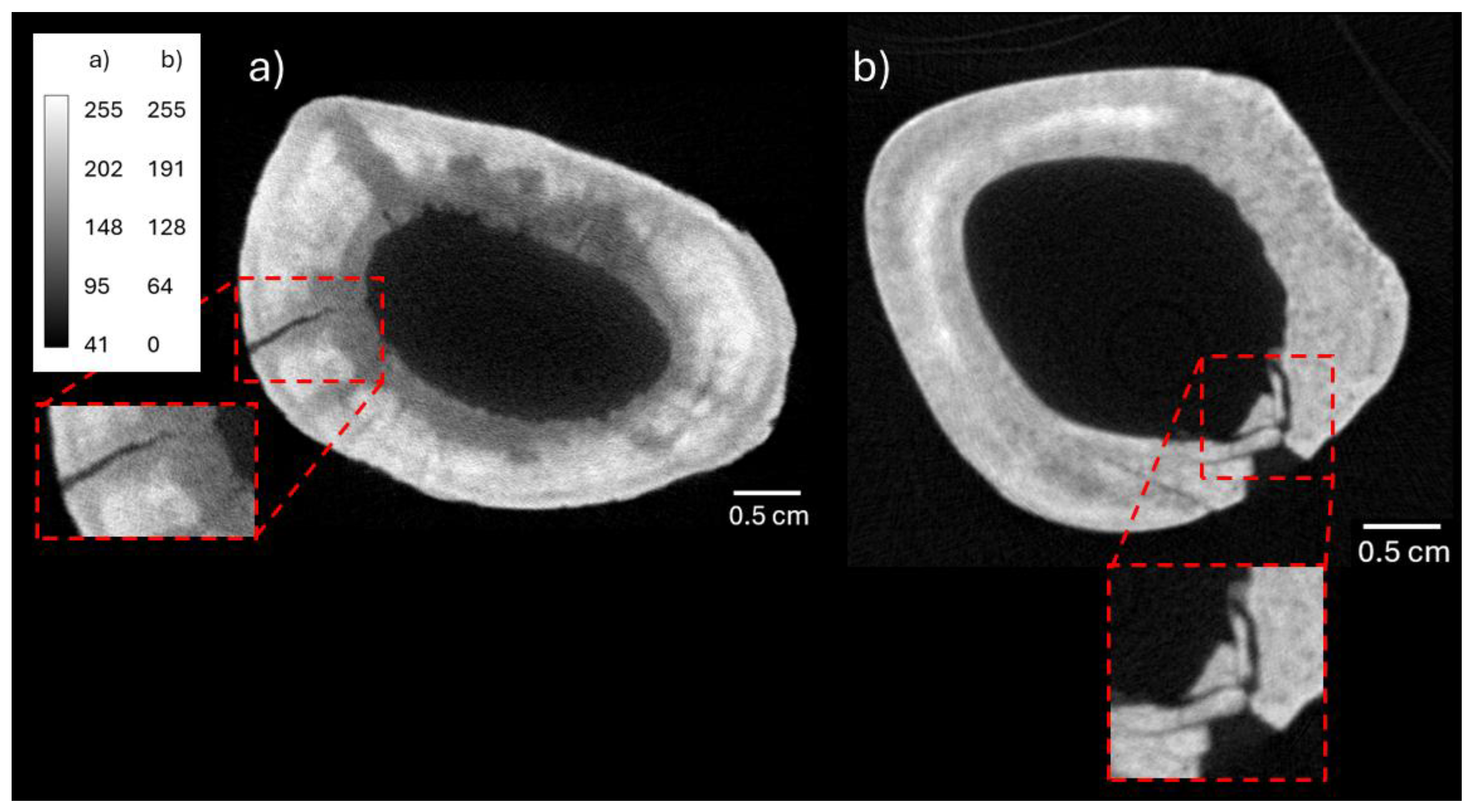Preprints 171394 g005