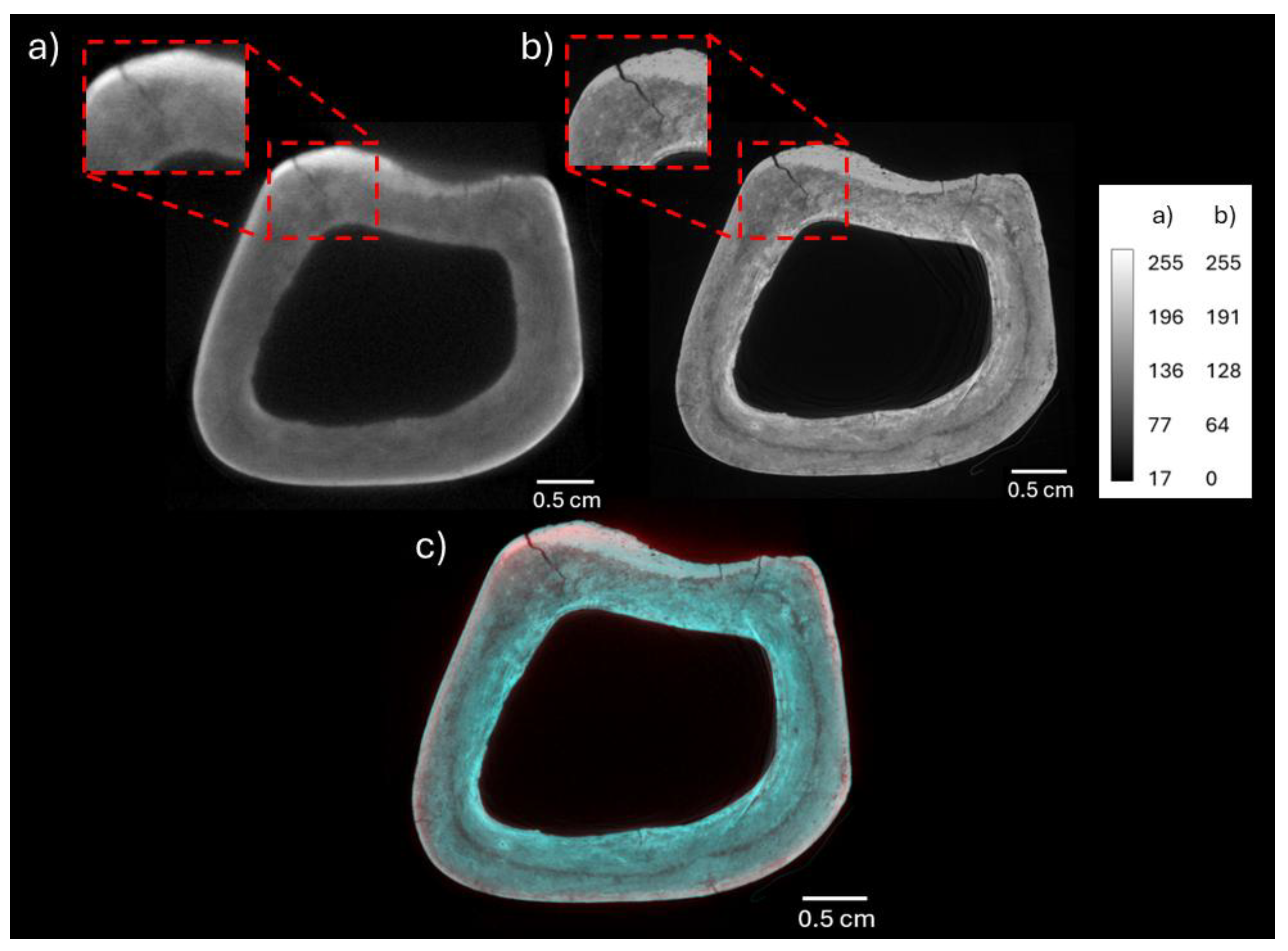 Preprints 171394 g006