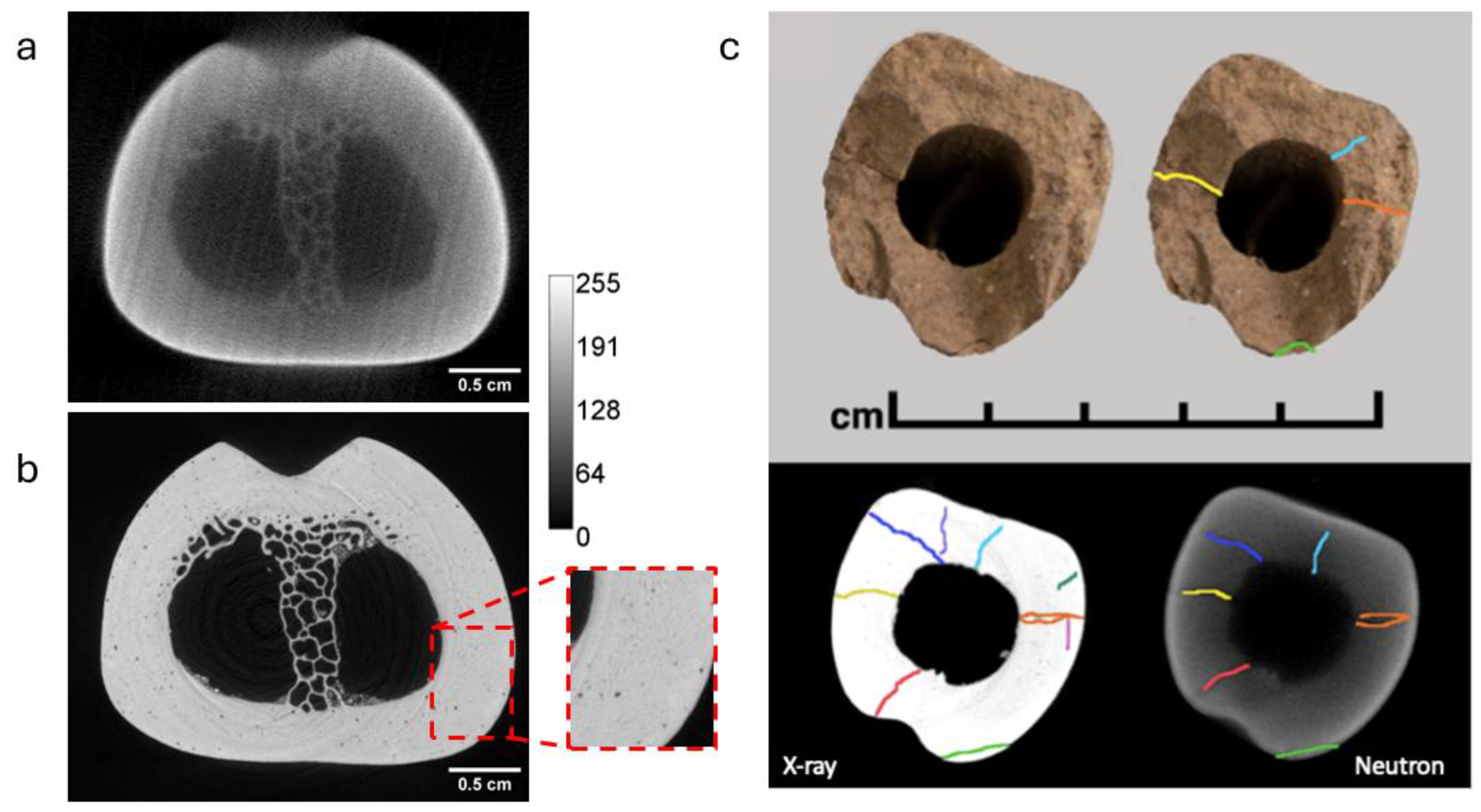 Preprints 171394 g007