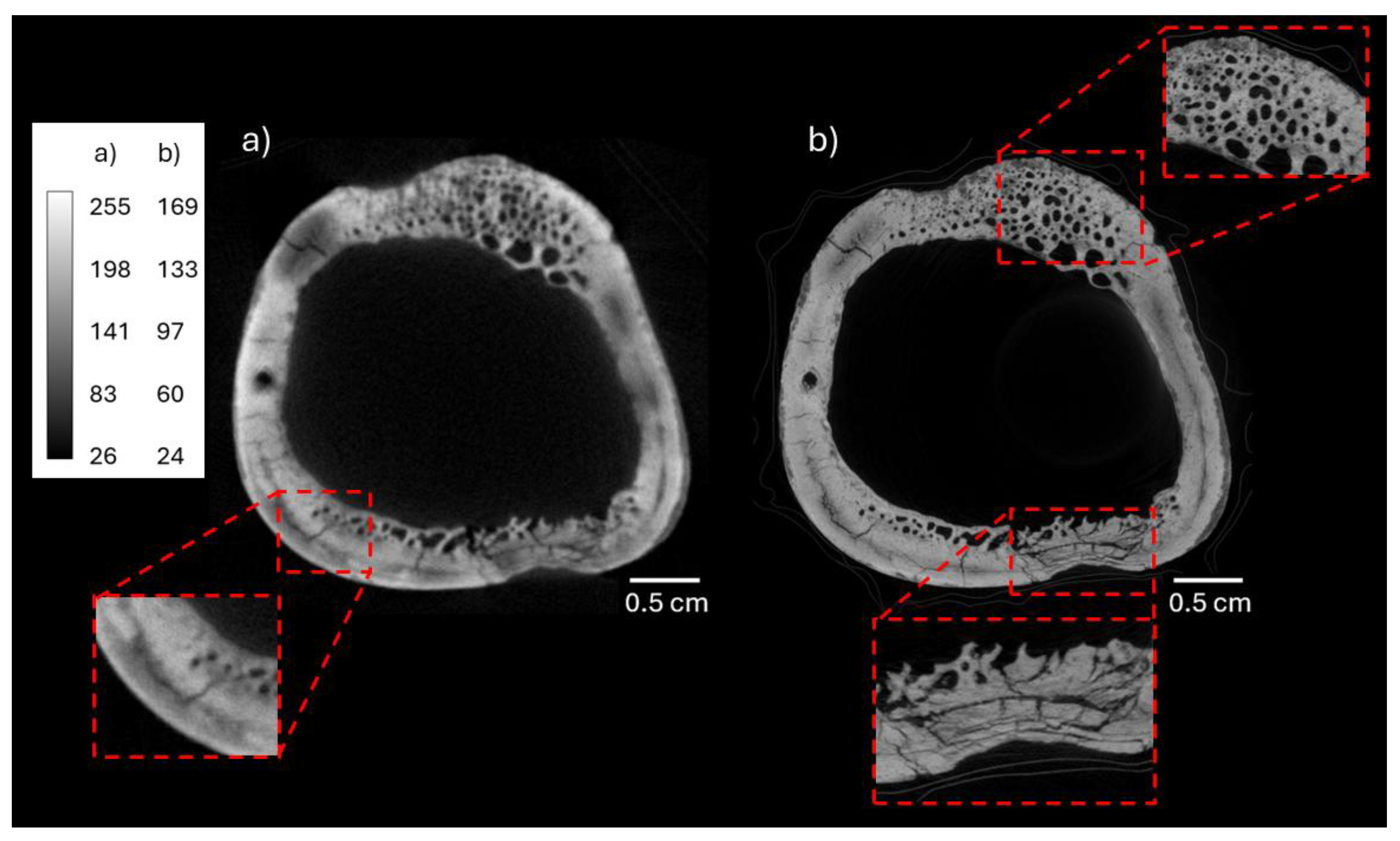 Preprints 171394 g008