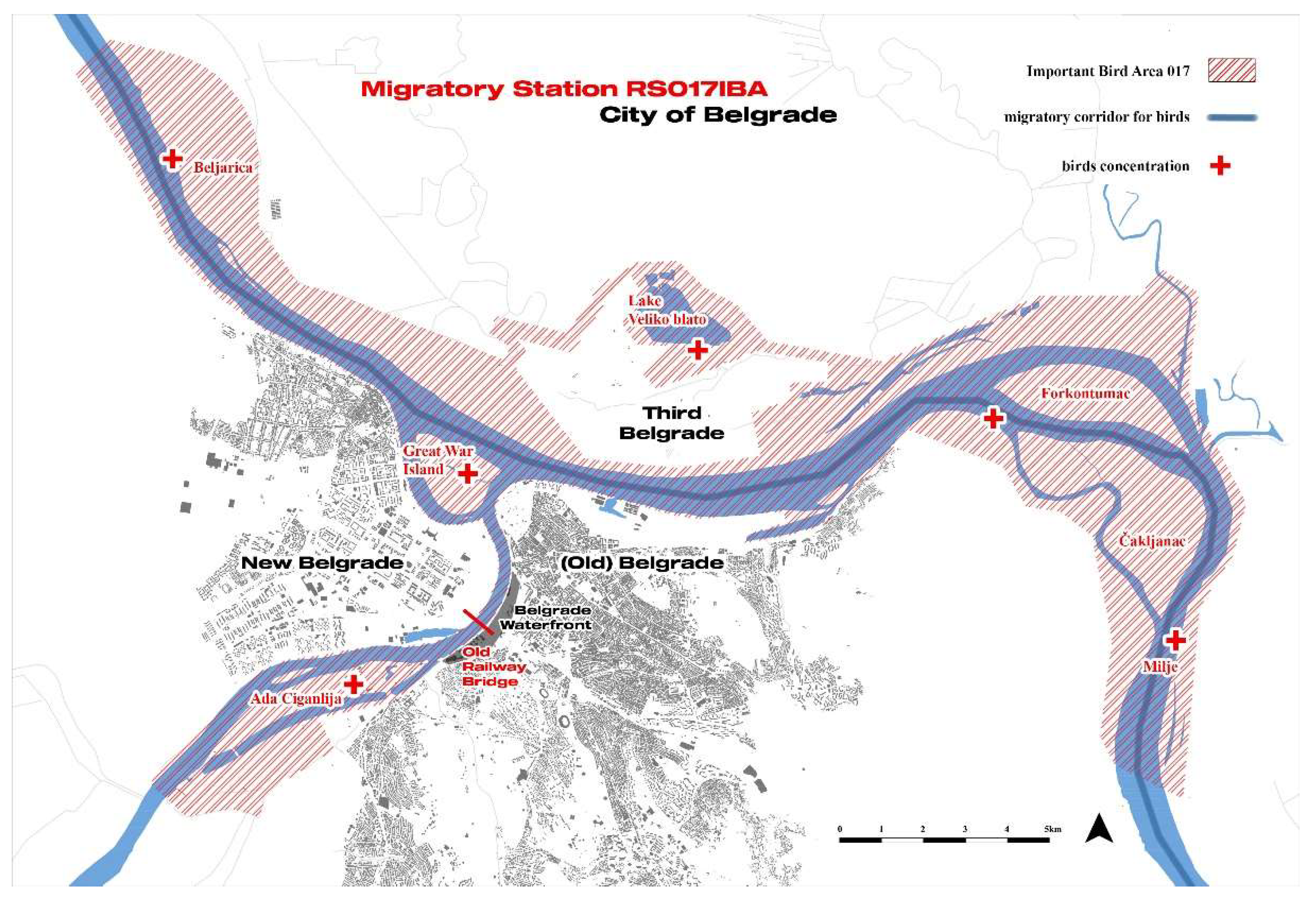 Preprints 157525 g001