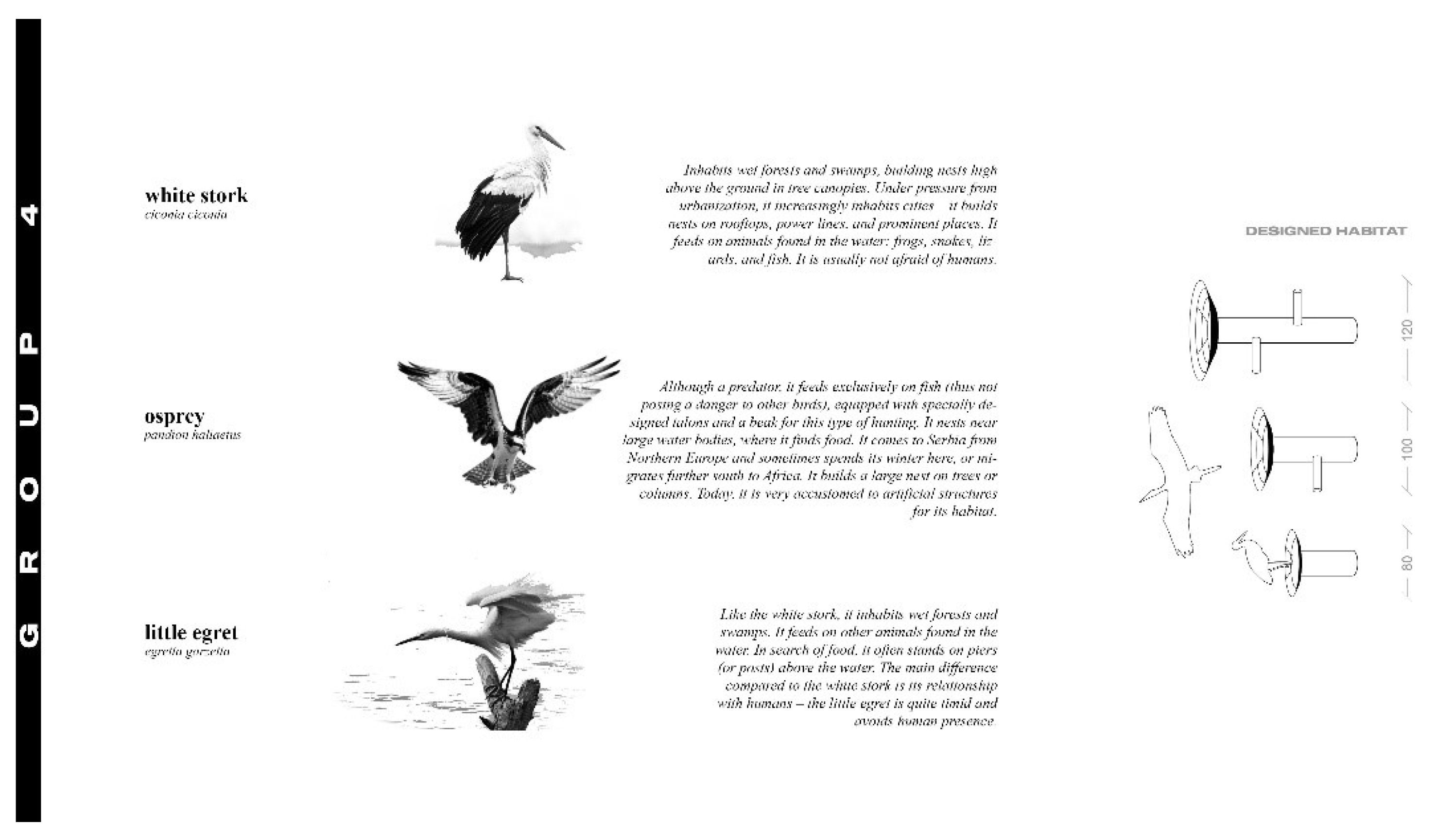 Preprints 157525 g006