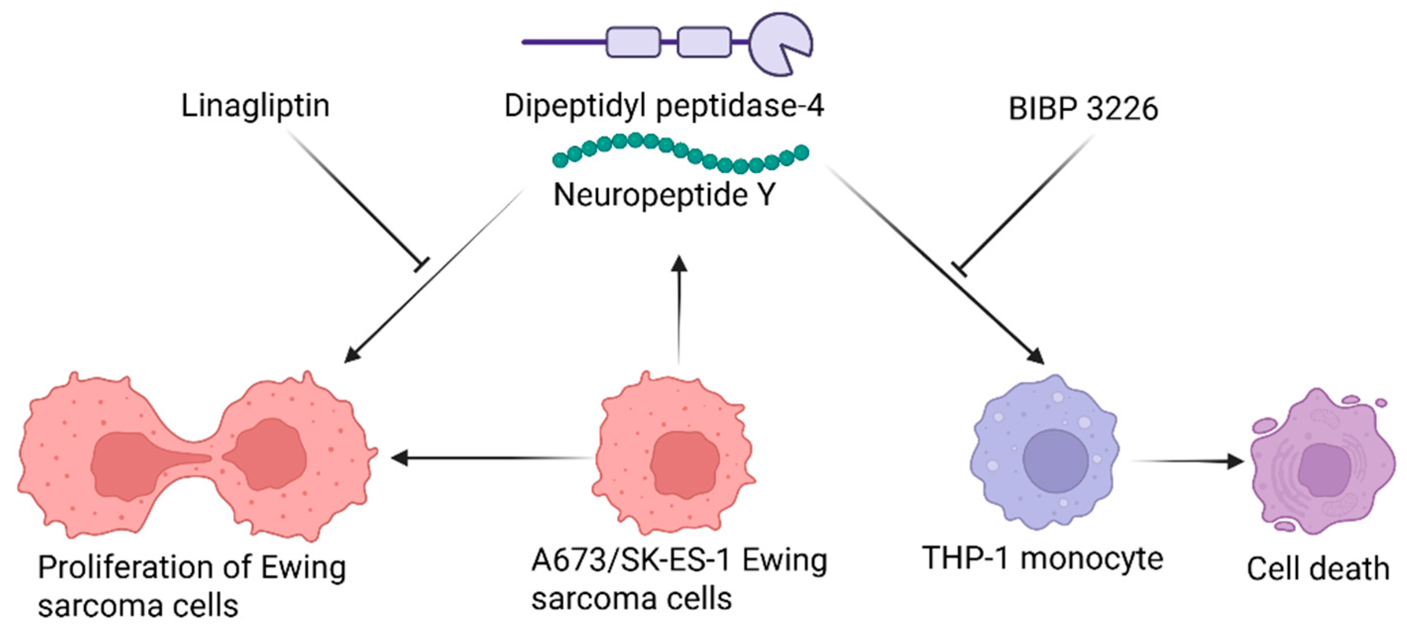 Preprints 195452 g007