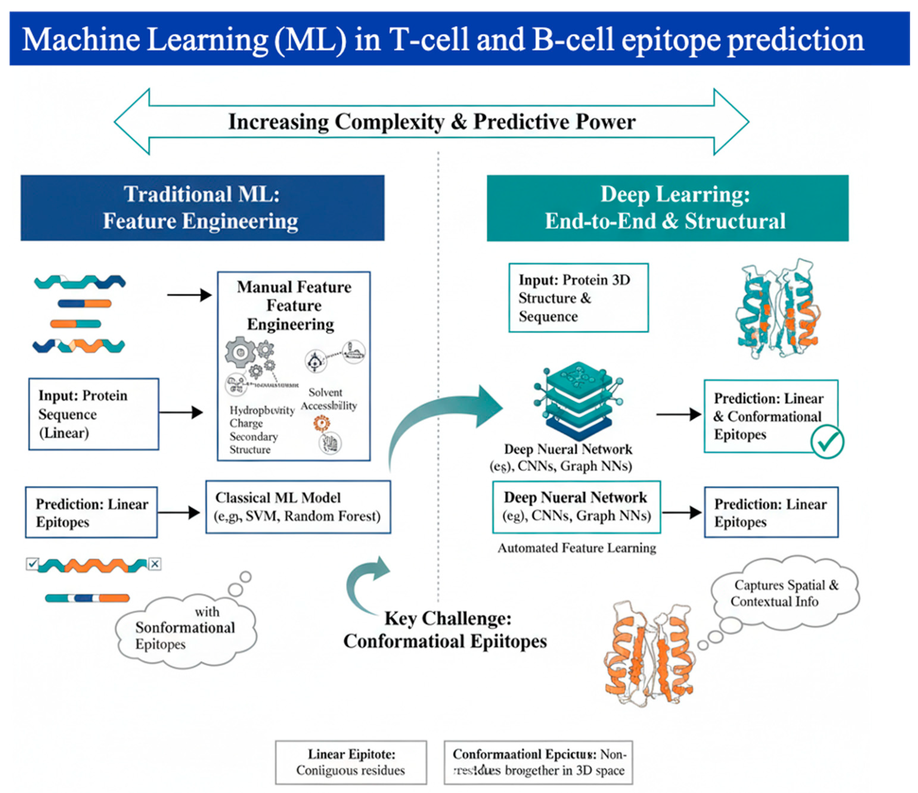 Preprints 196702 g002