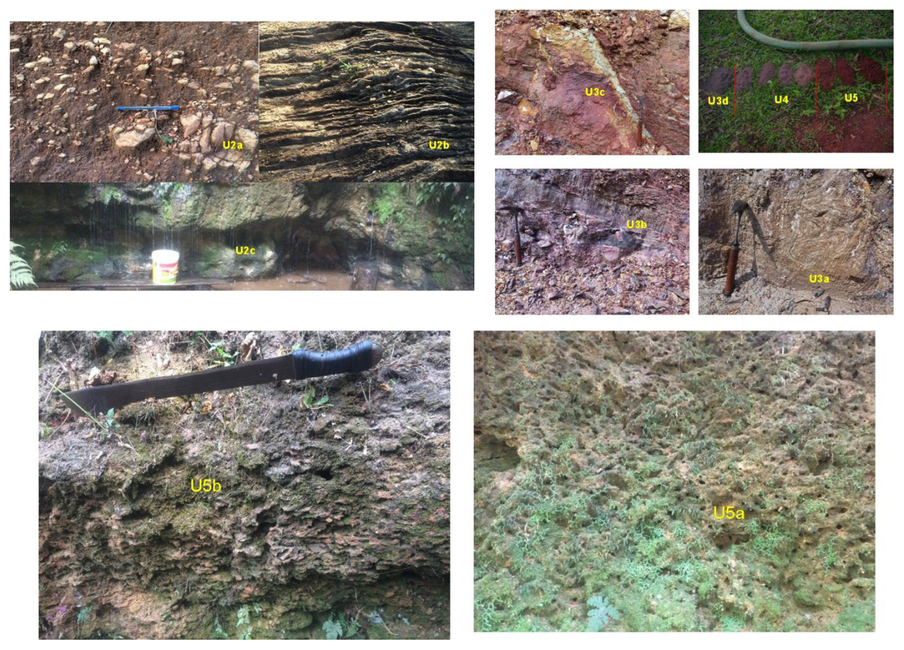 Preprints 99509 g007