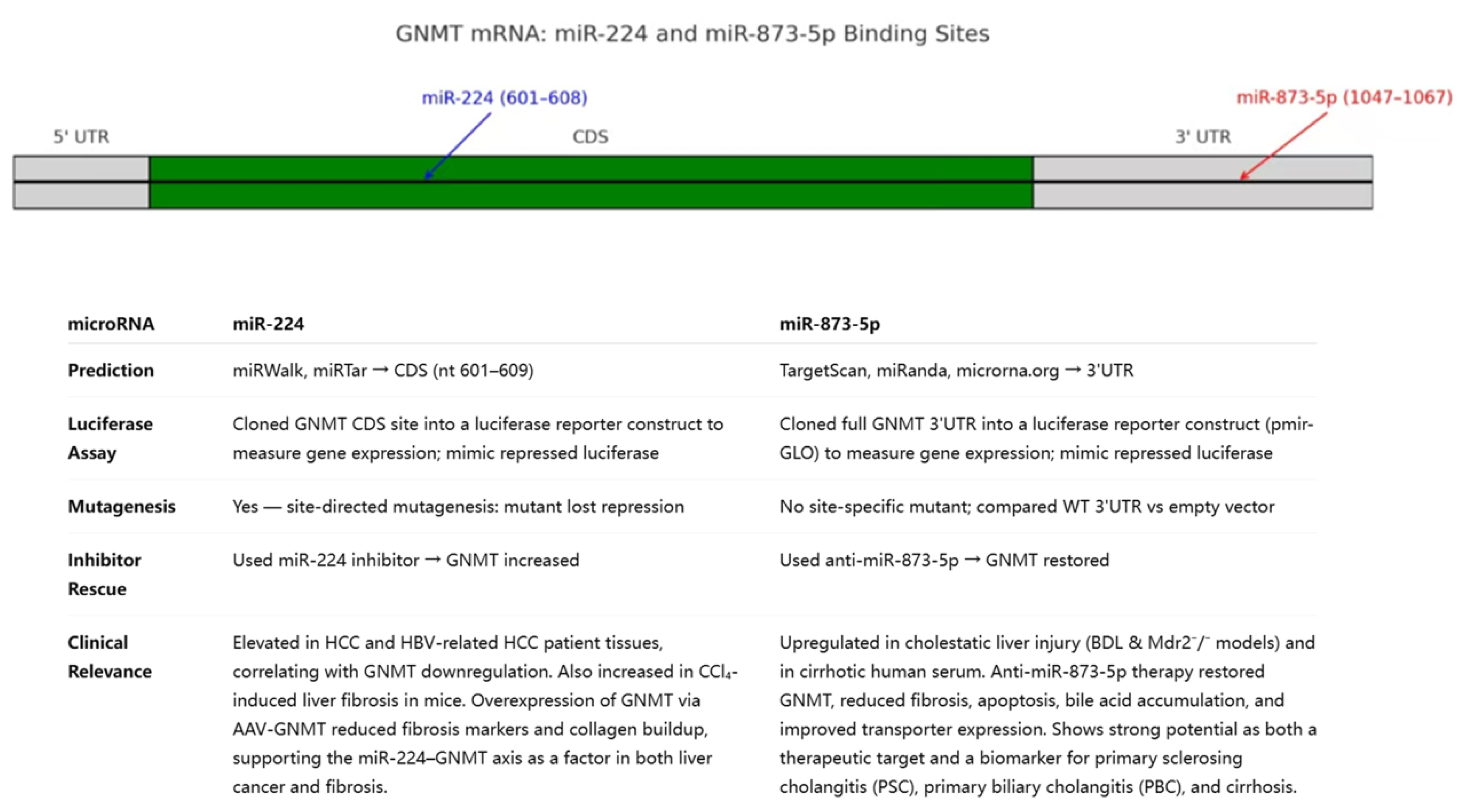 Preprints 194978 g002