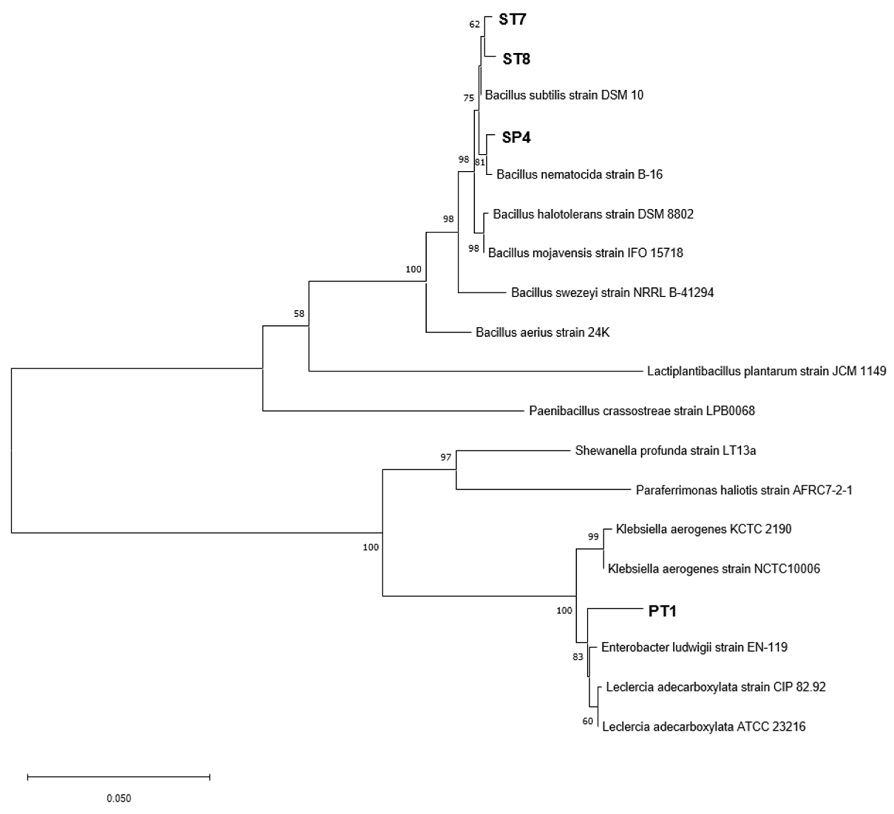 Preprints 74006 g001