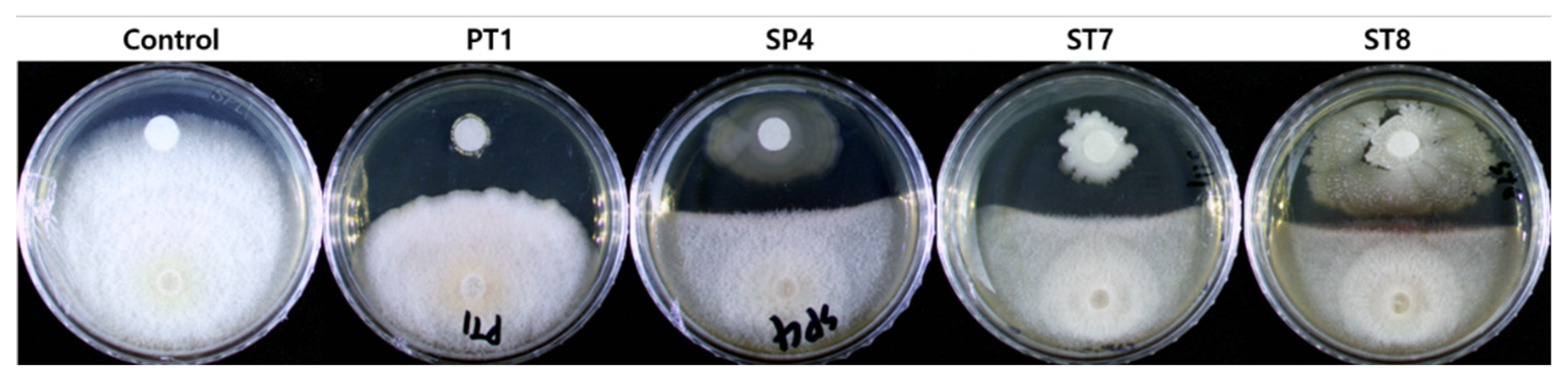 Preprints 74006 g002