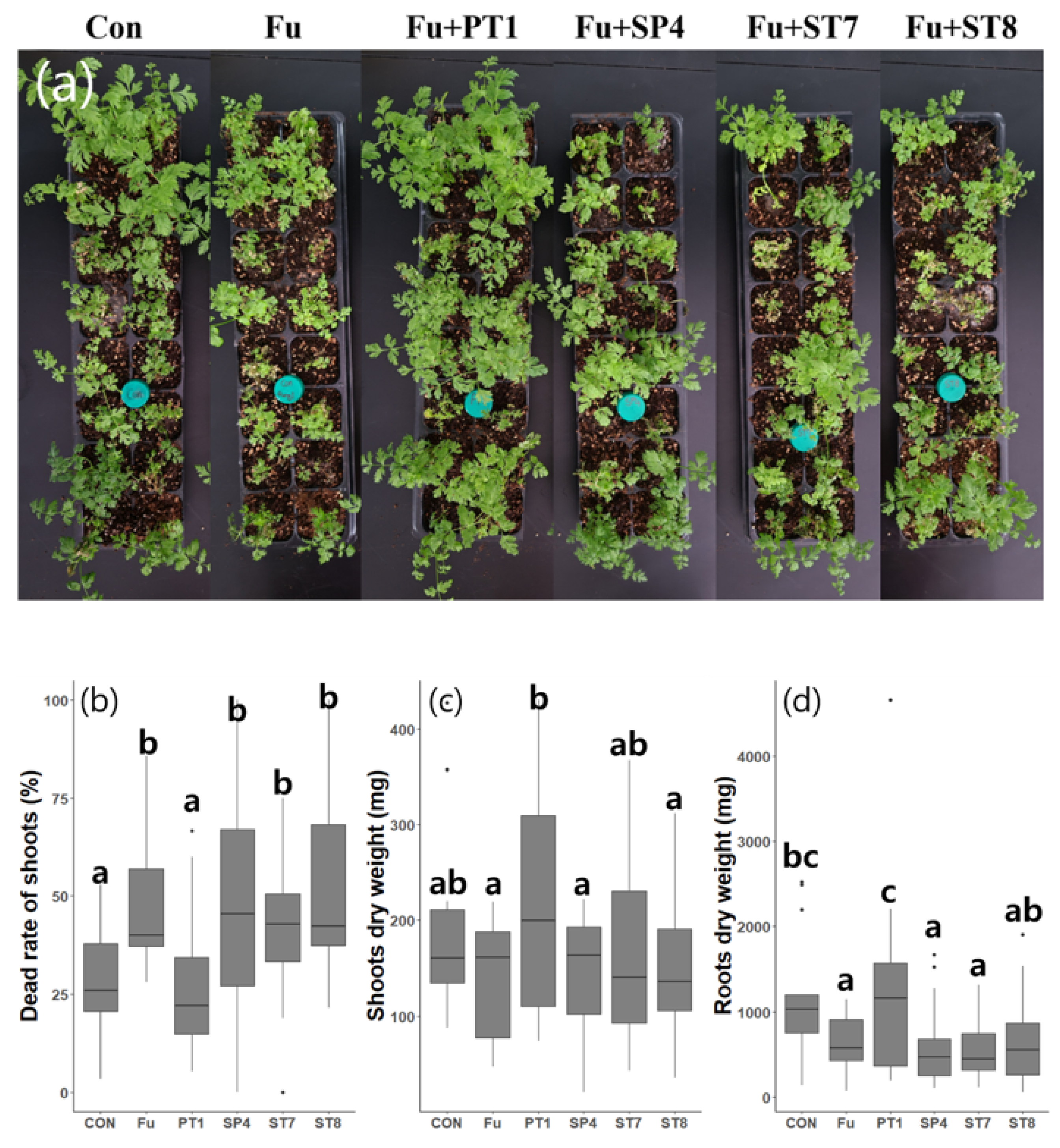 Preprints 74006 g003