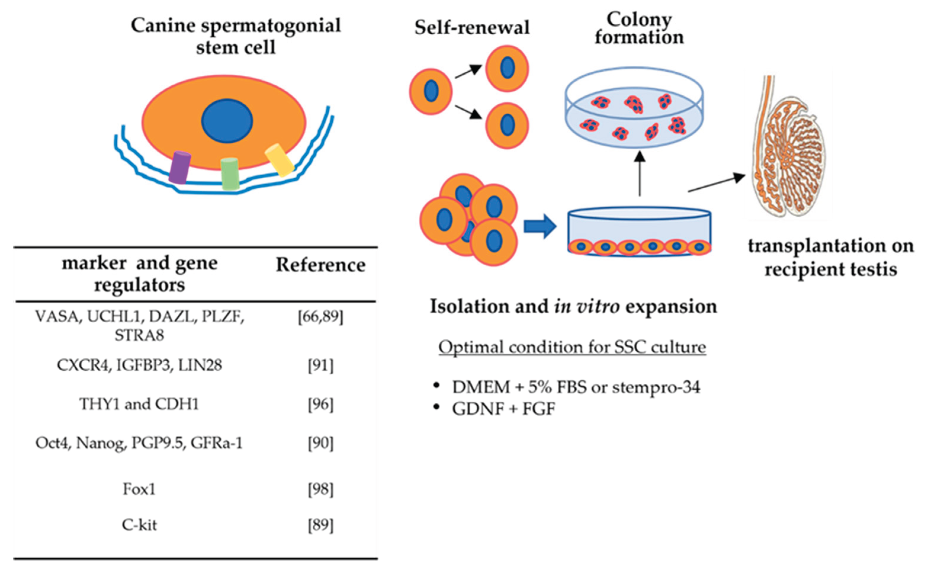 Preprints 166718 g002