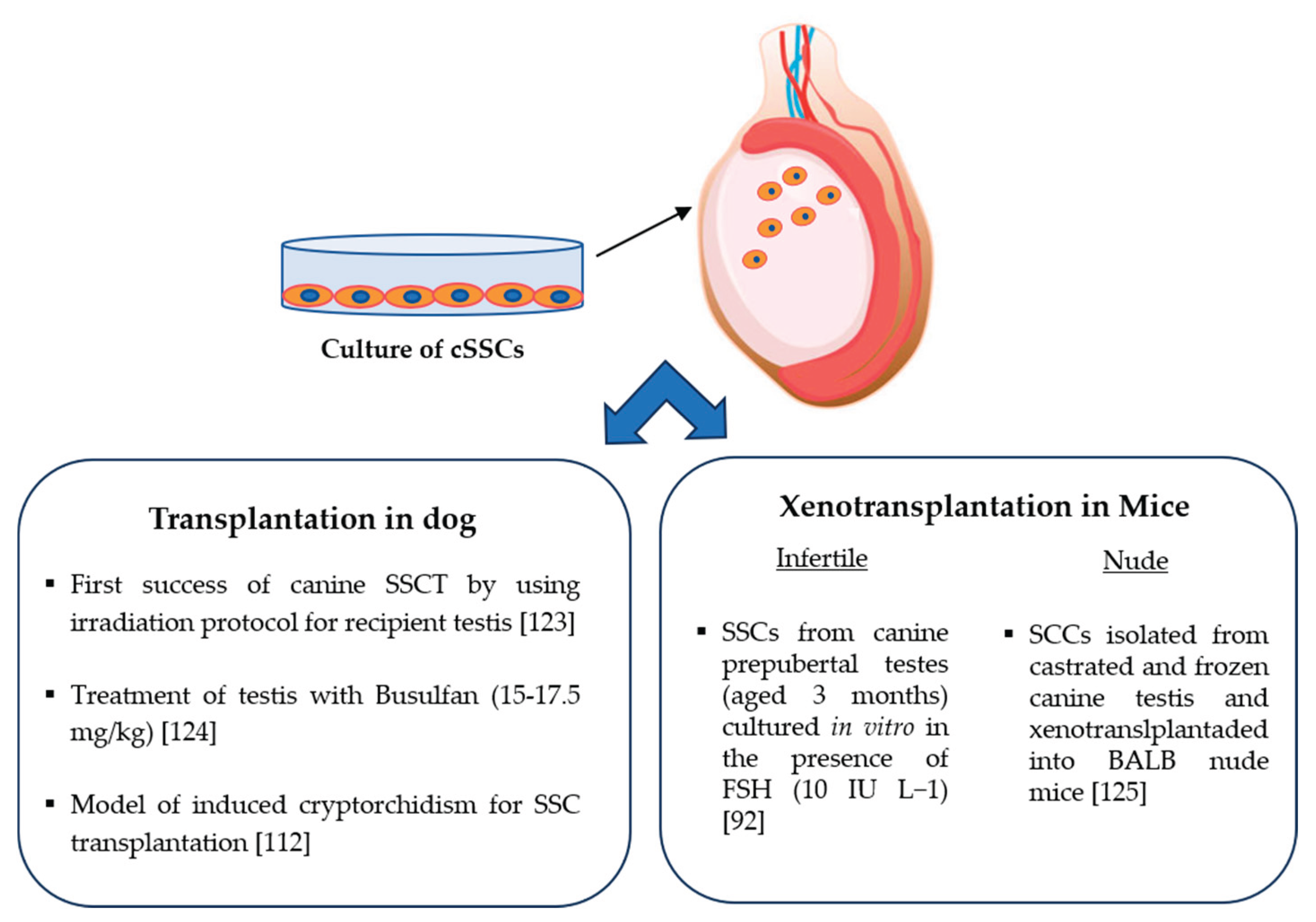 Preprints 166718 g003