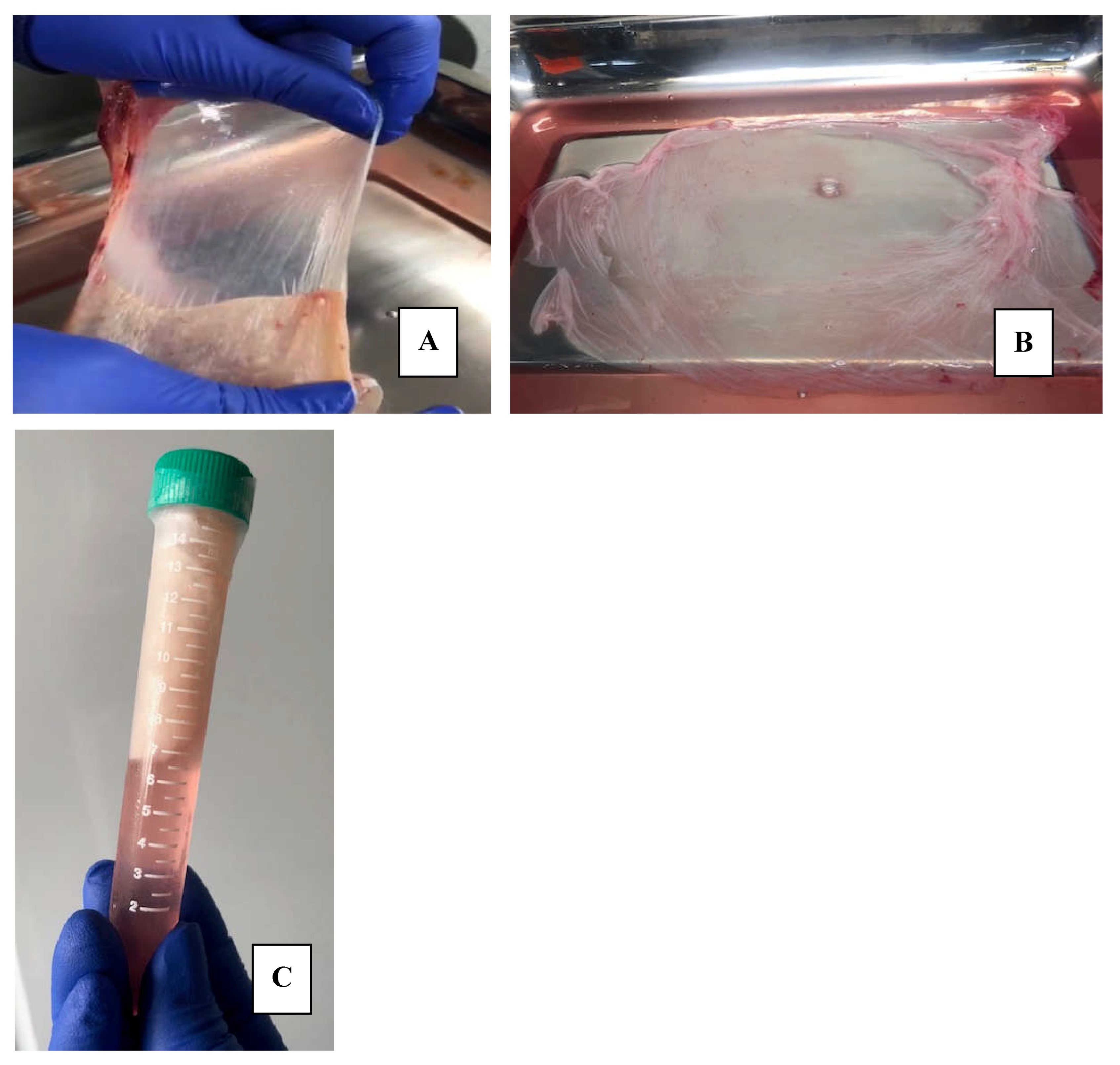 Preprints 139915 g001