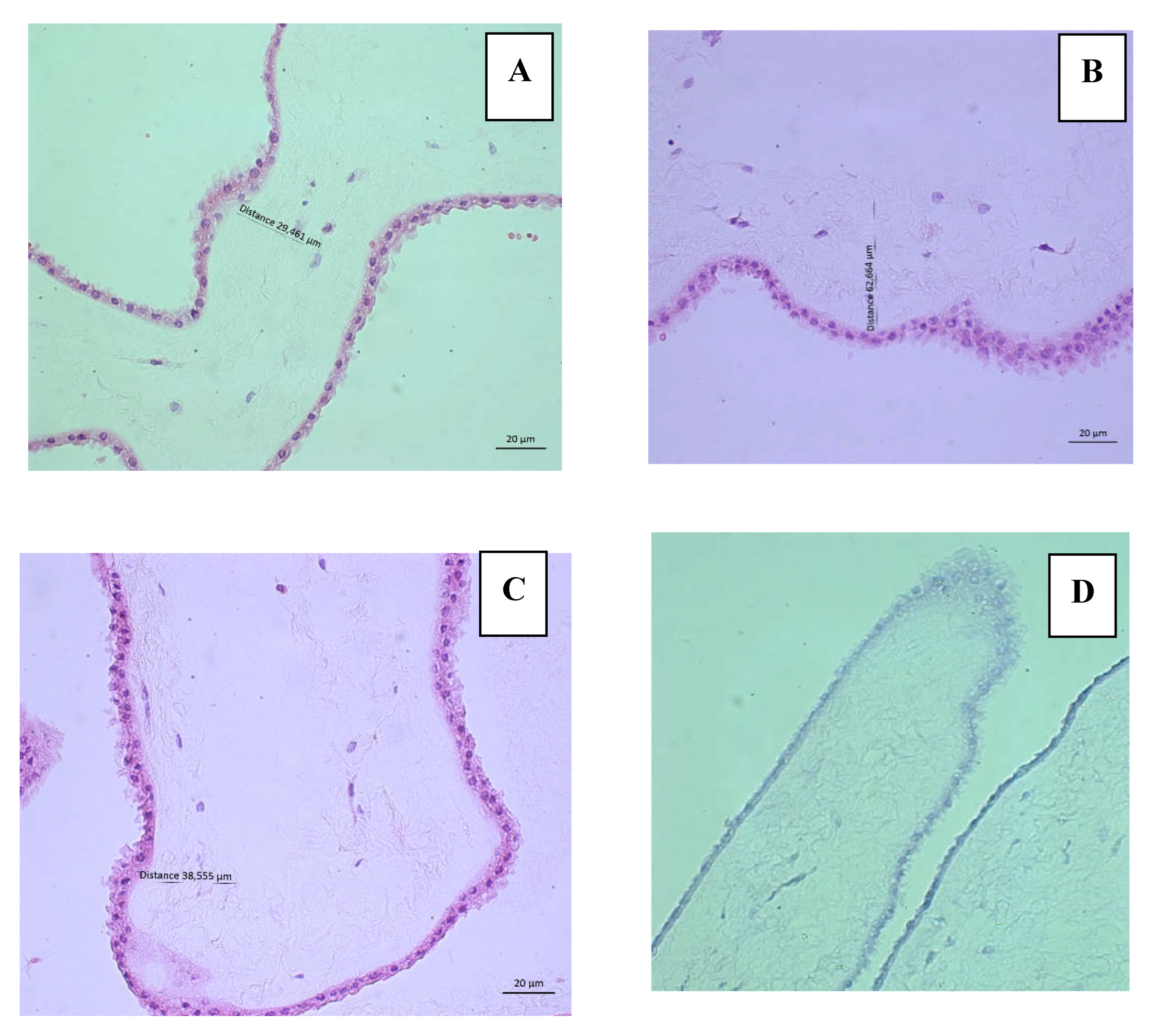 Preprints 139915 g002