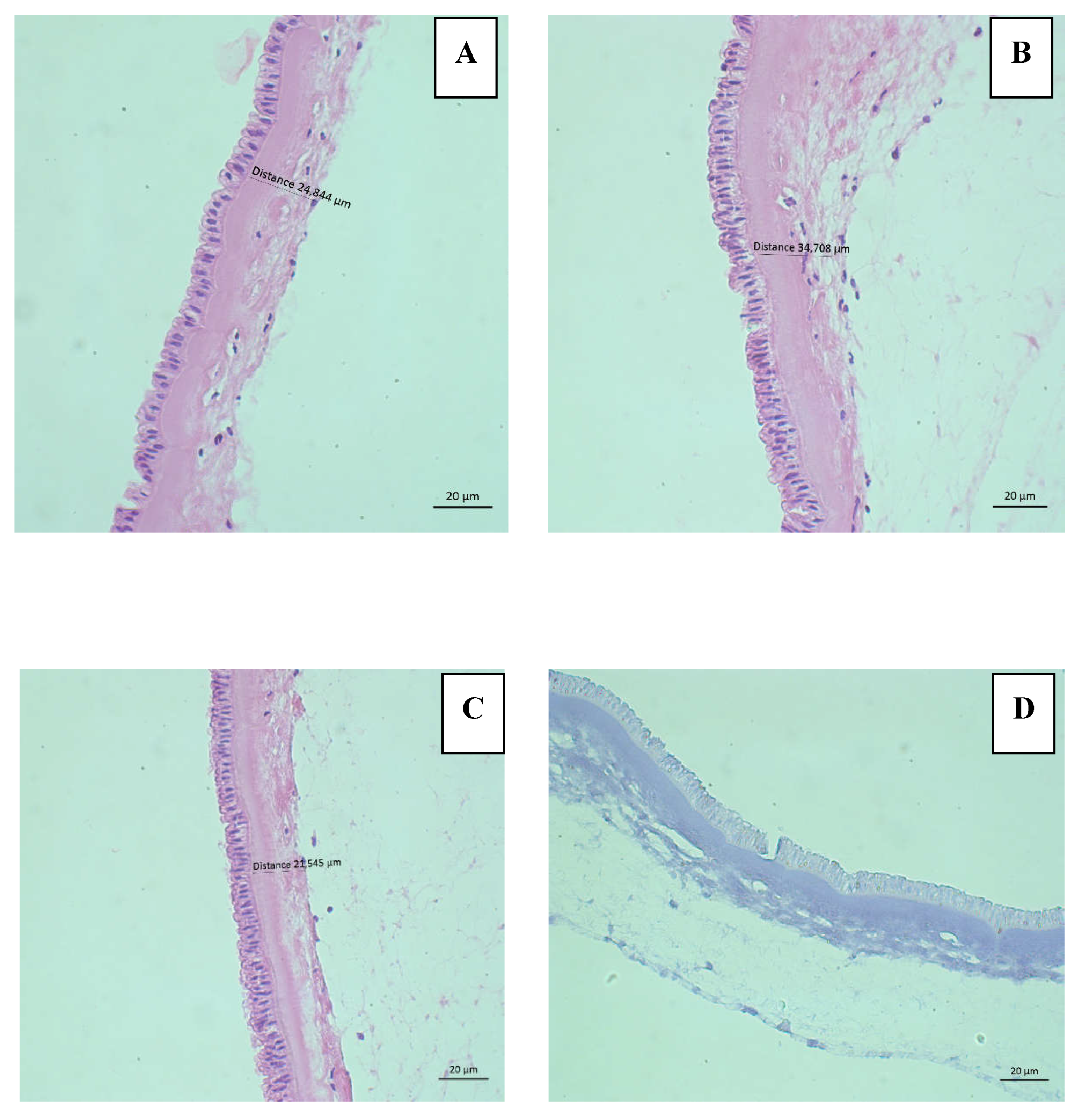 Preprints 139915 g003