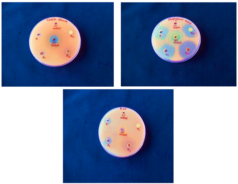 Preprints 141029 i010