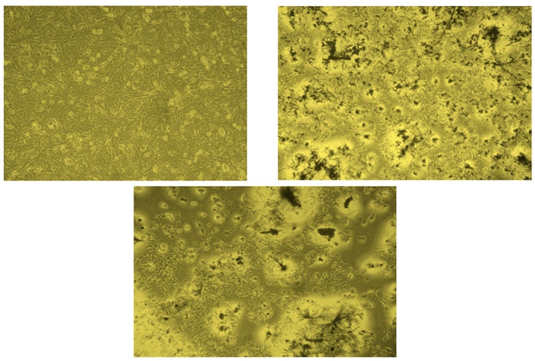 Preprints 141029 i011