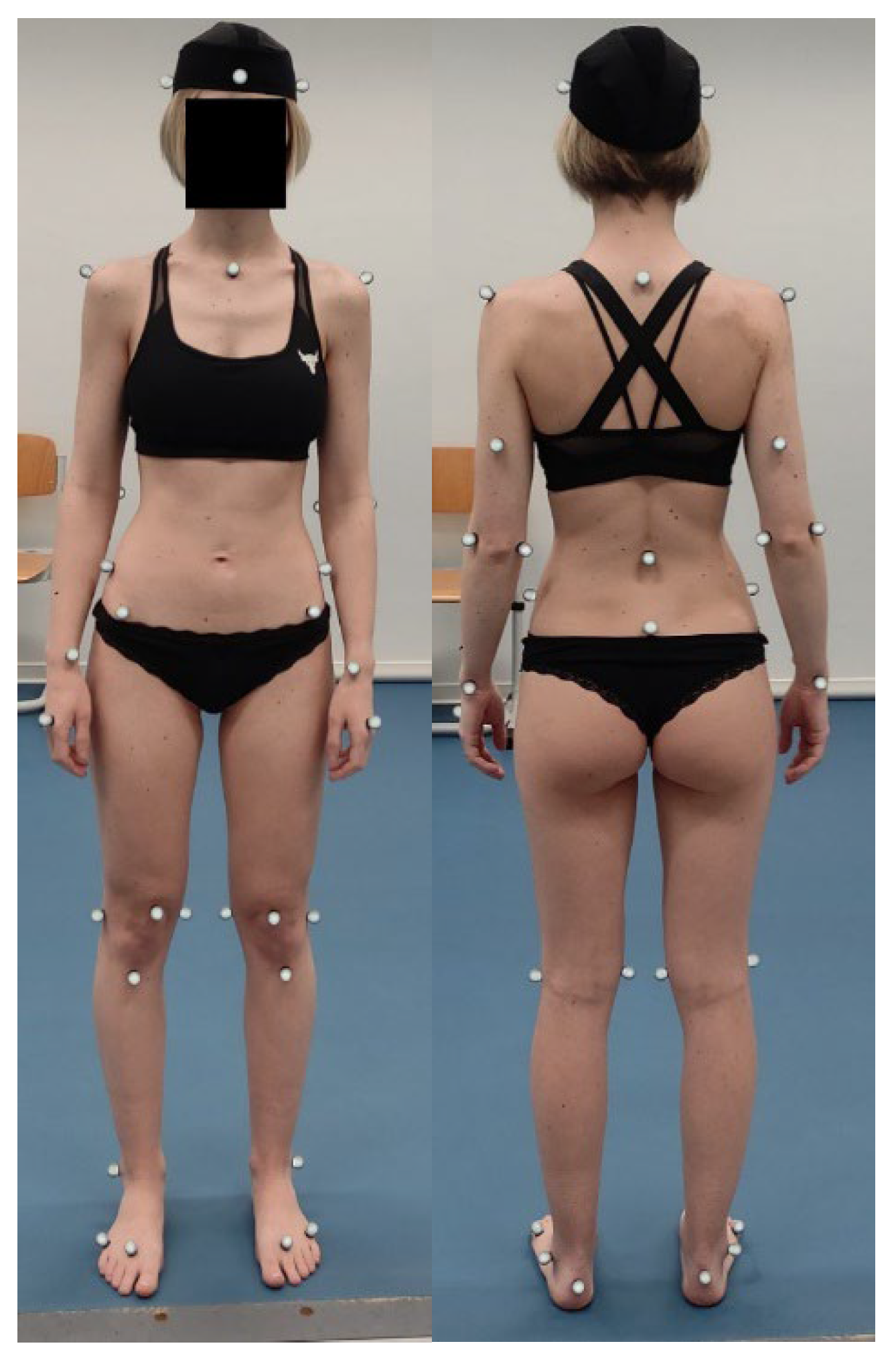 Preprints 182050 g001