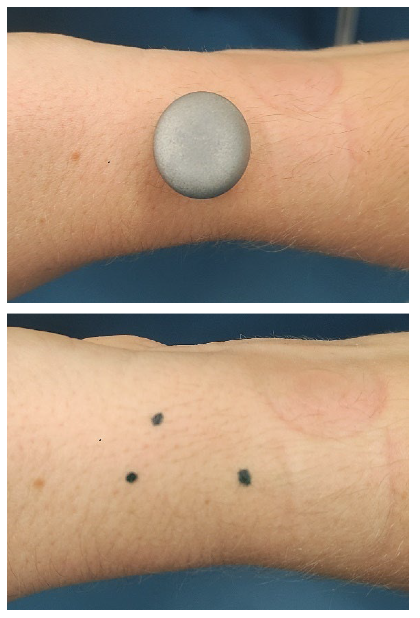 Preprints 182050 g002