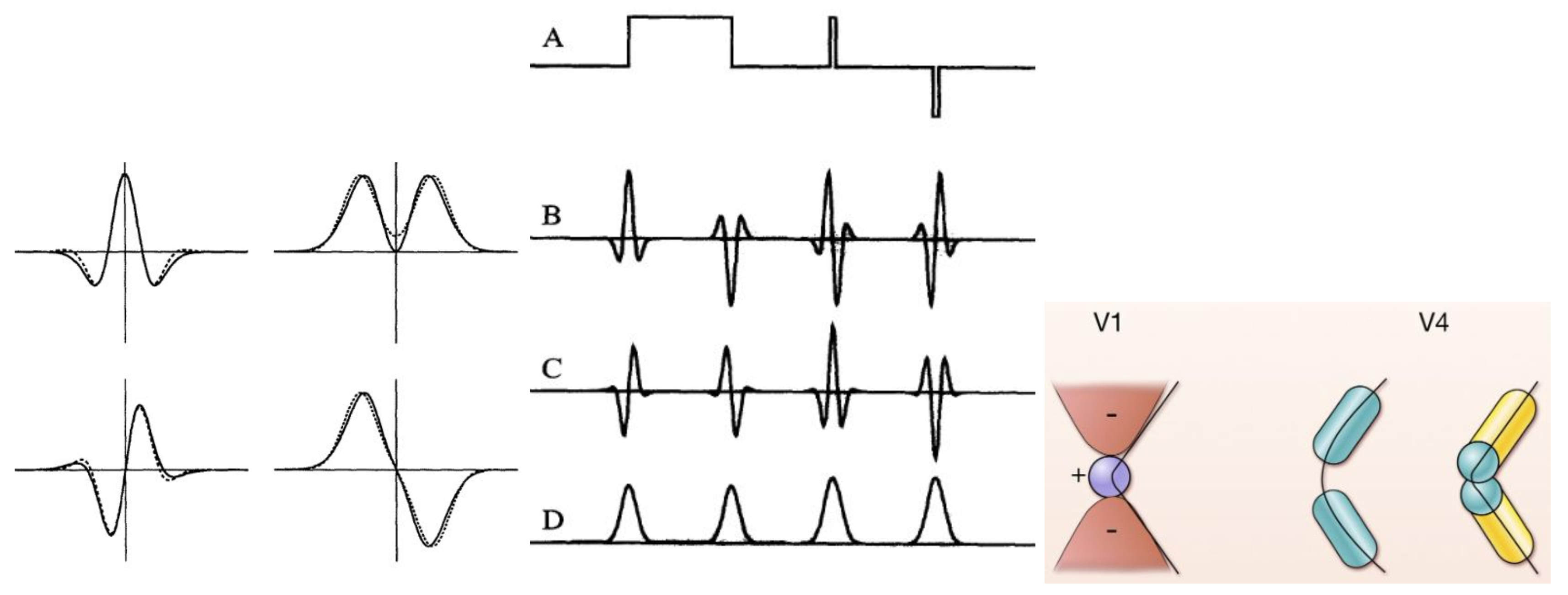 Preprints 87491 g003