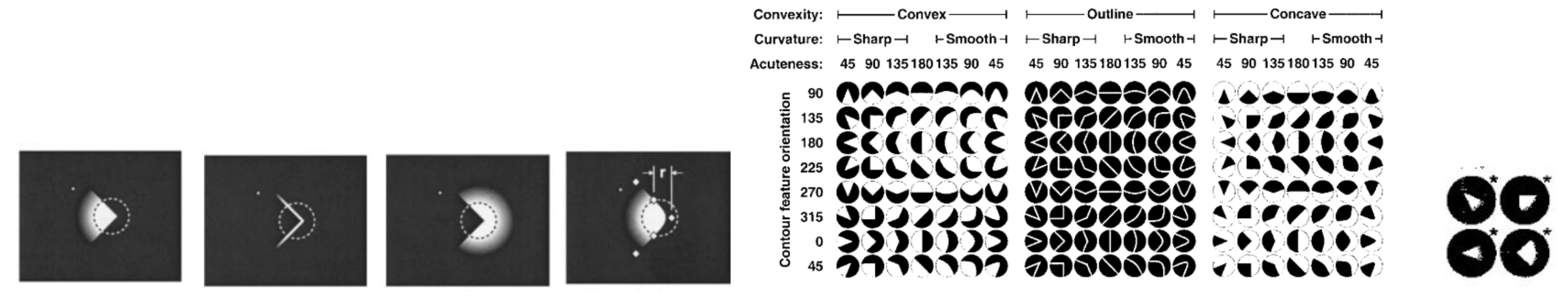 Preprints 87491 g006