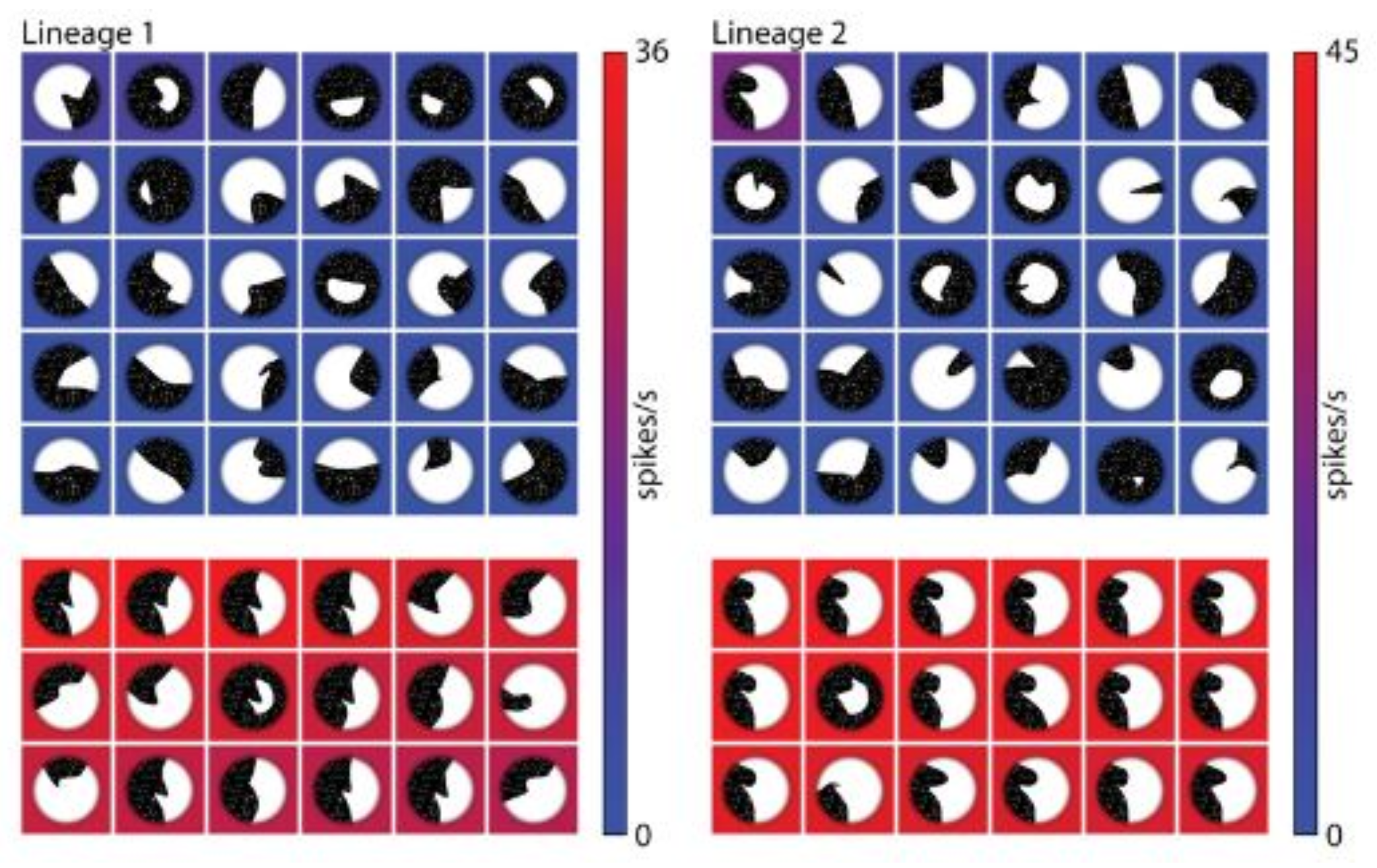 Preprints 87491 g011